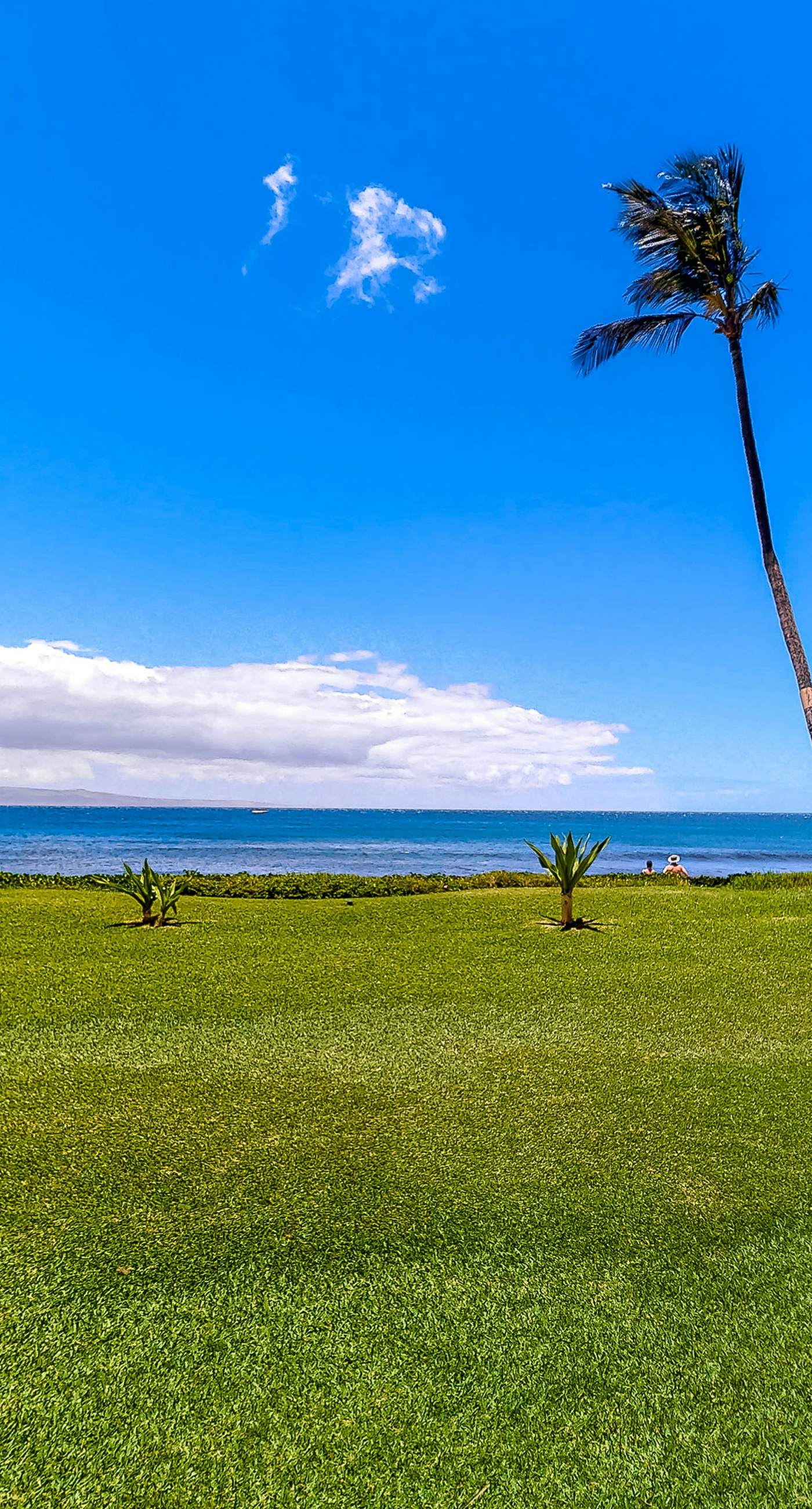 Sugar Beach Resort 332