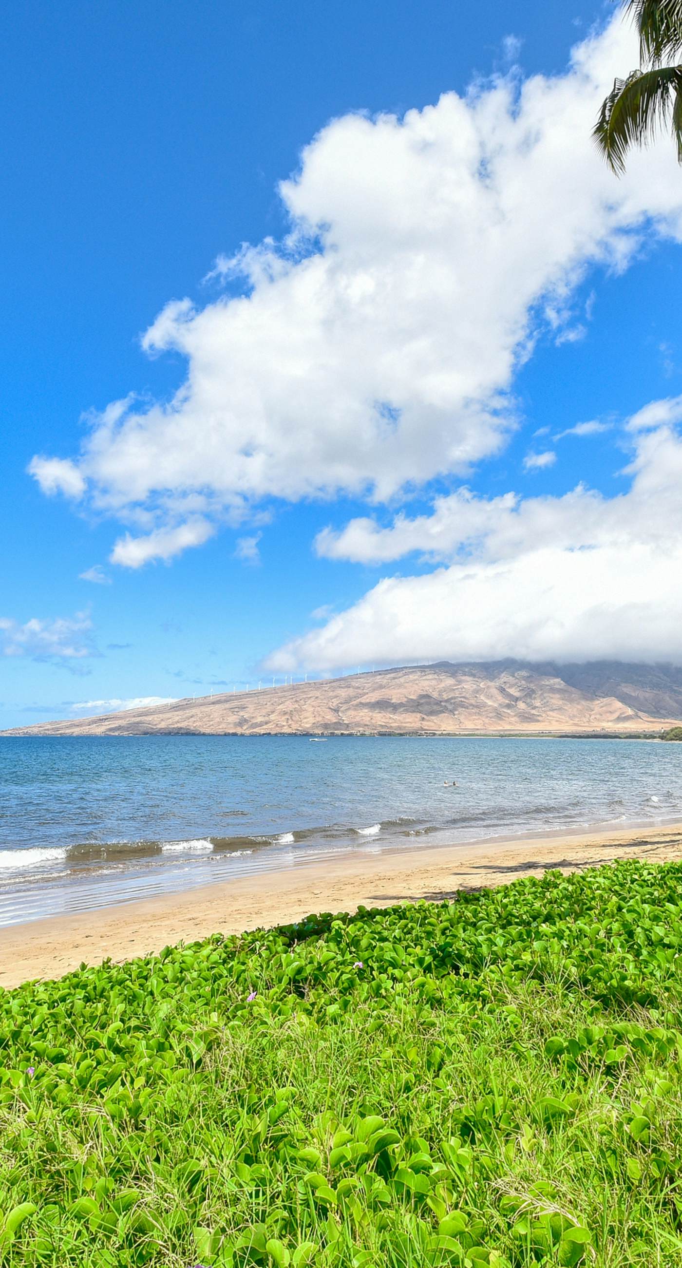 Sugar Beach Resort 332