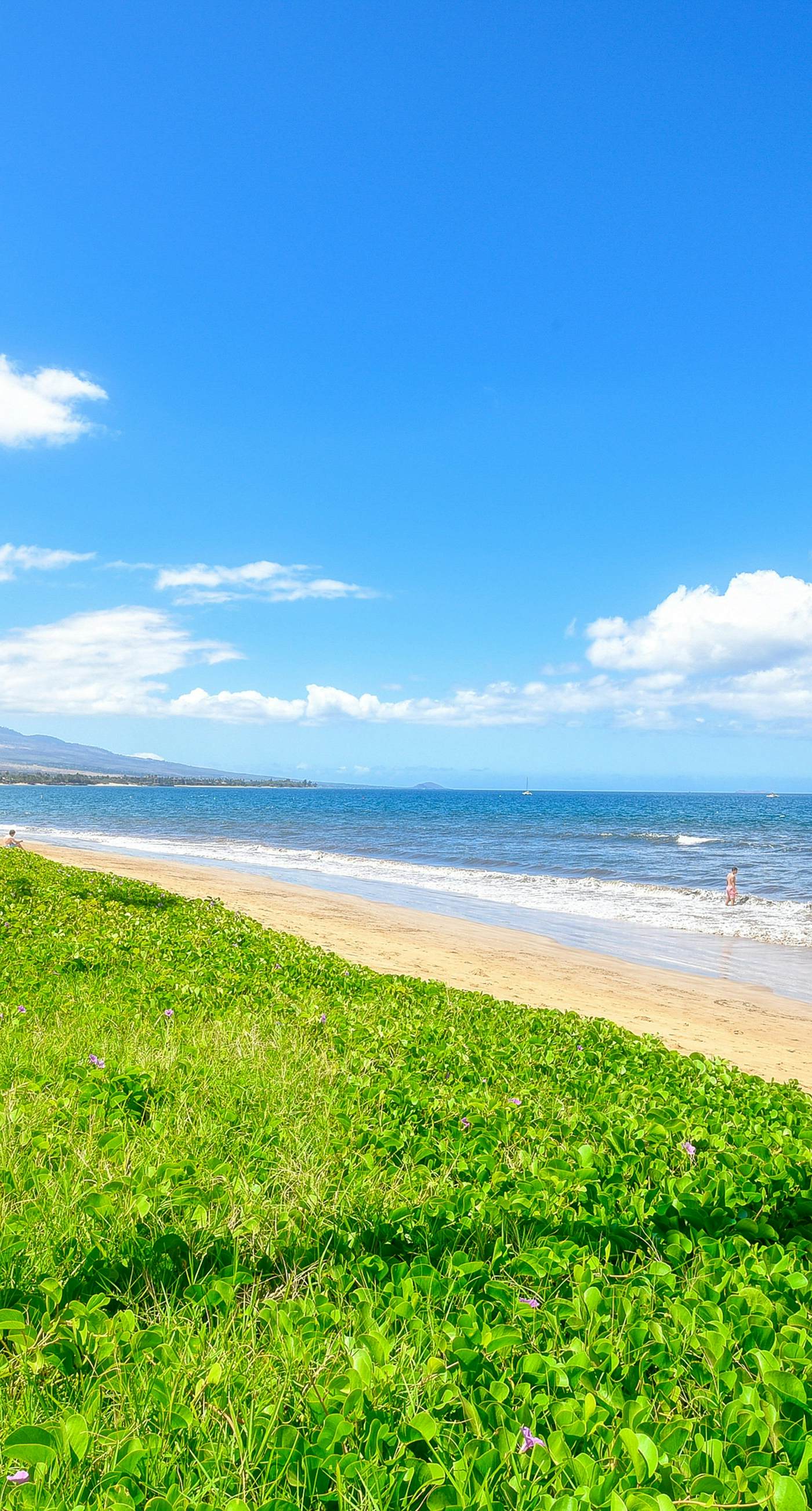 Sugar Beach Resort 332