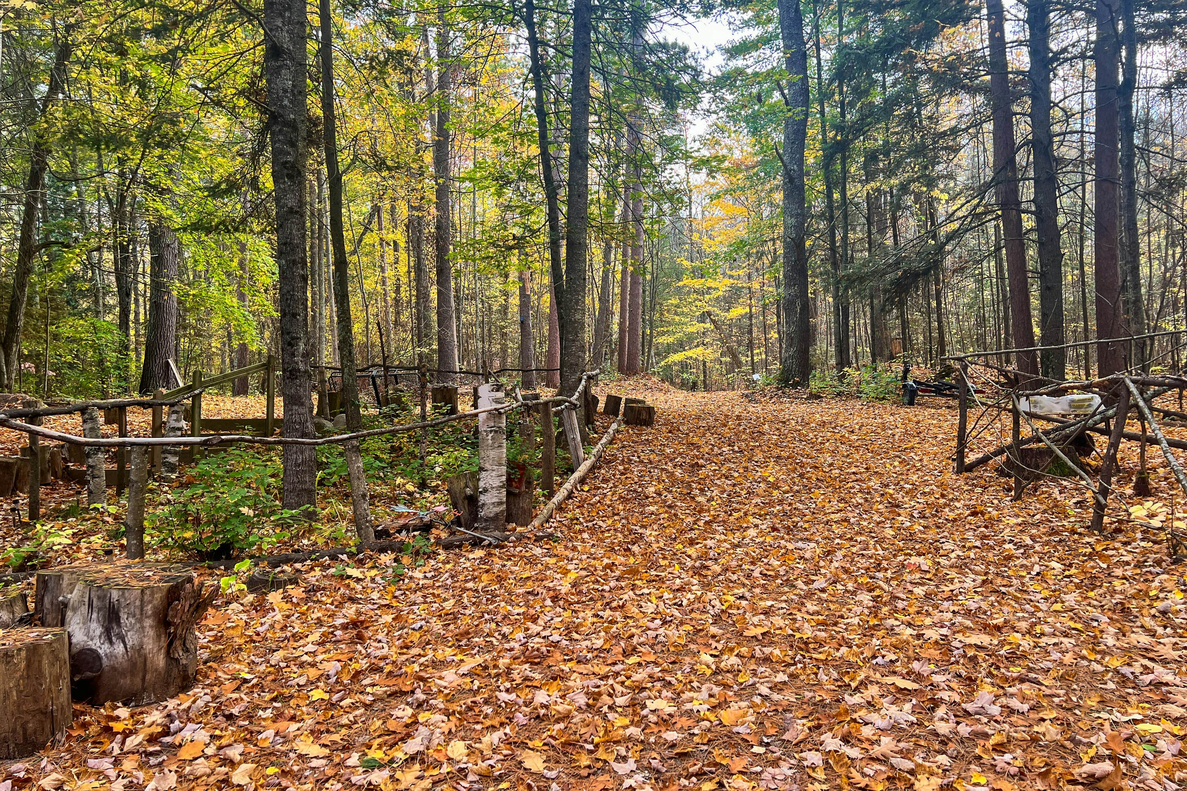 Amber Sunset Retreat