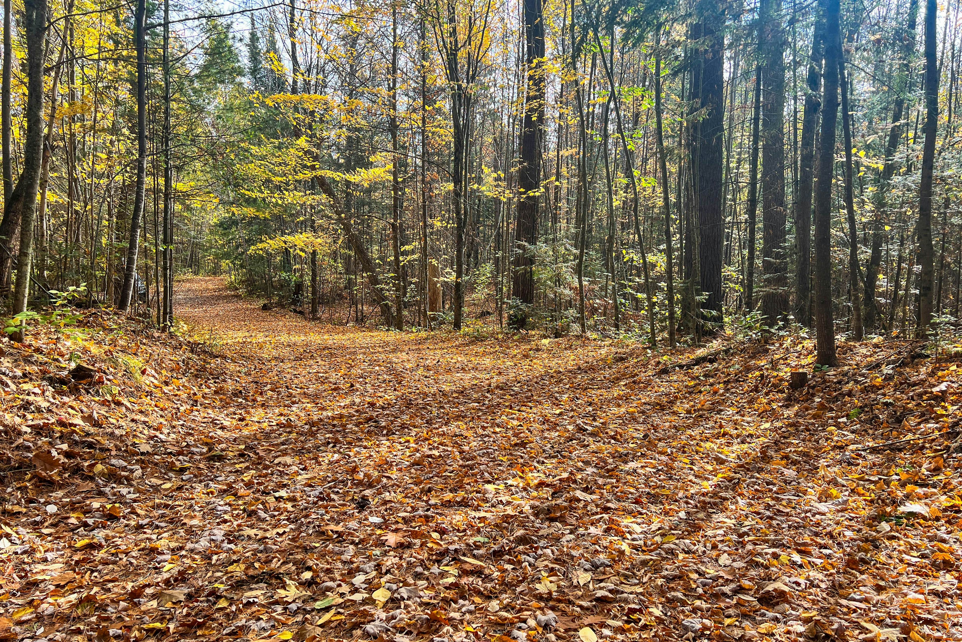 Amber Sunset Retreat