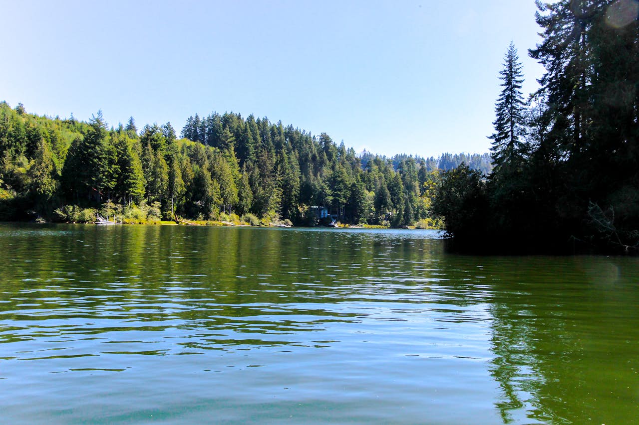 Rustic Retreat on Mercer Lake 2 BD Vacation Rental in Florence, OR