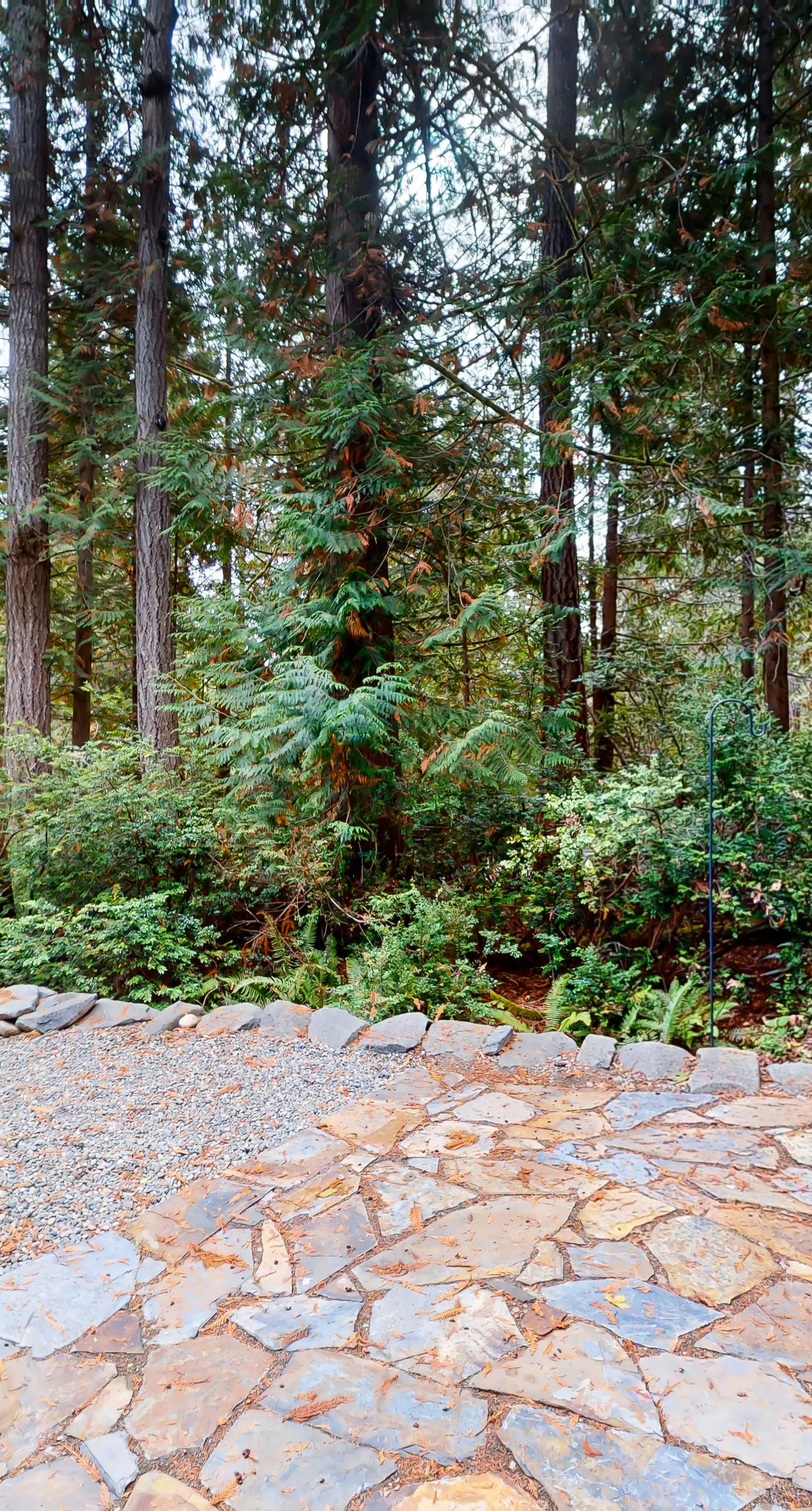 Woodland Cove