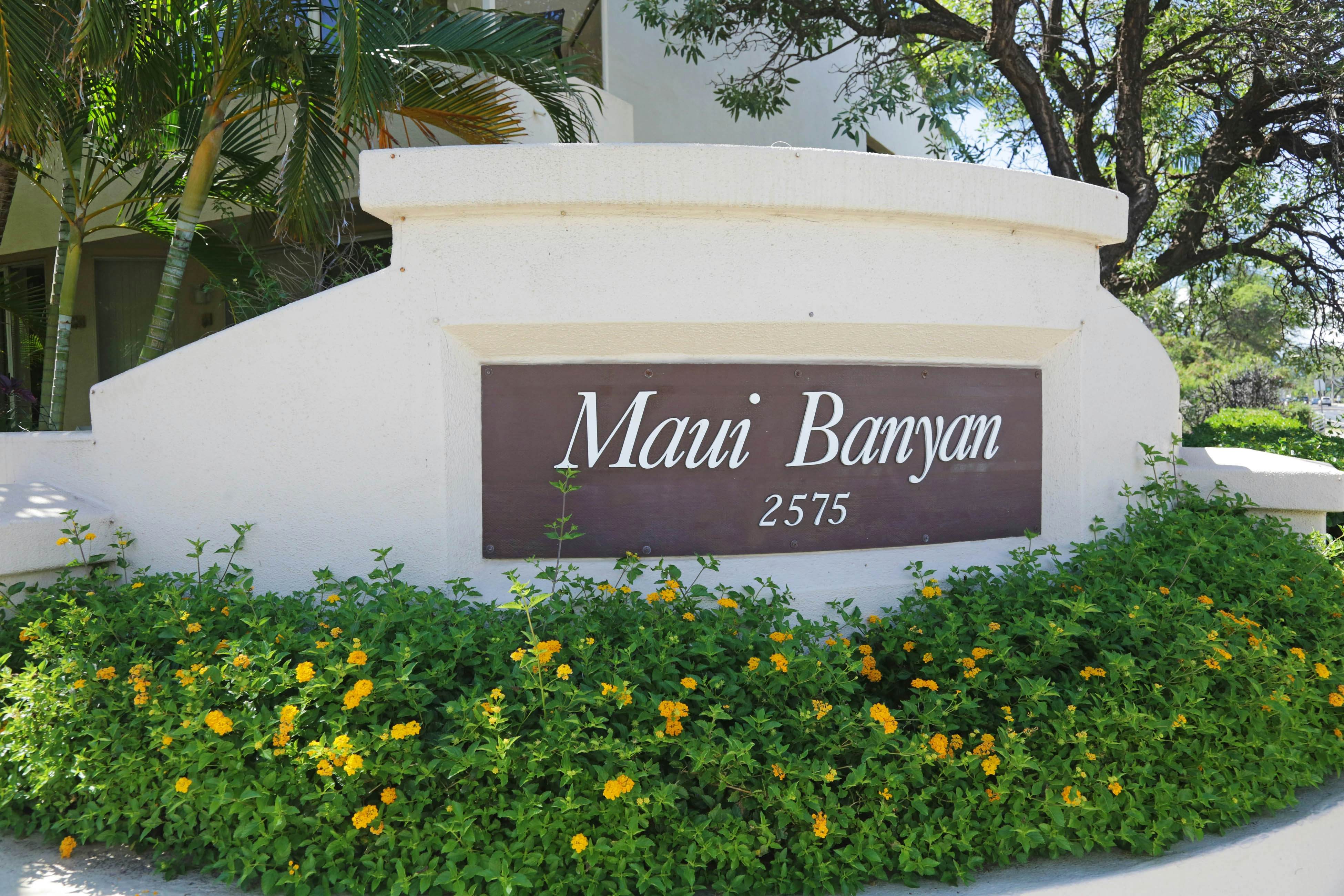 Maui Banyan P302