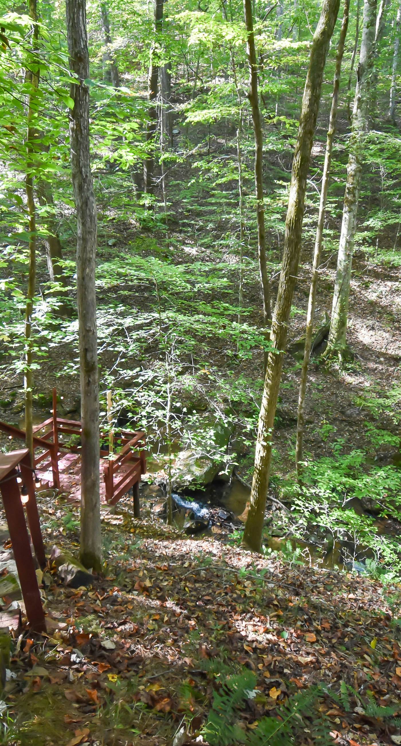 River's Creekside Cabin