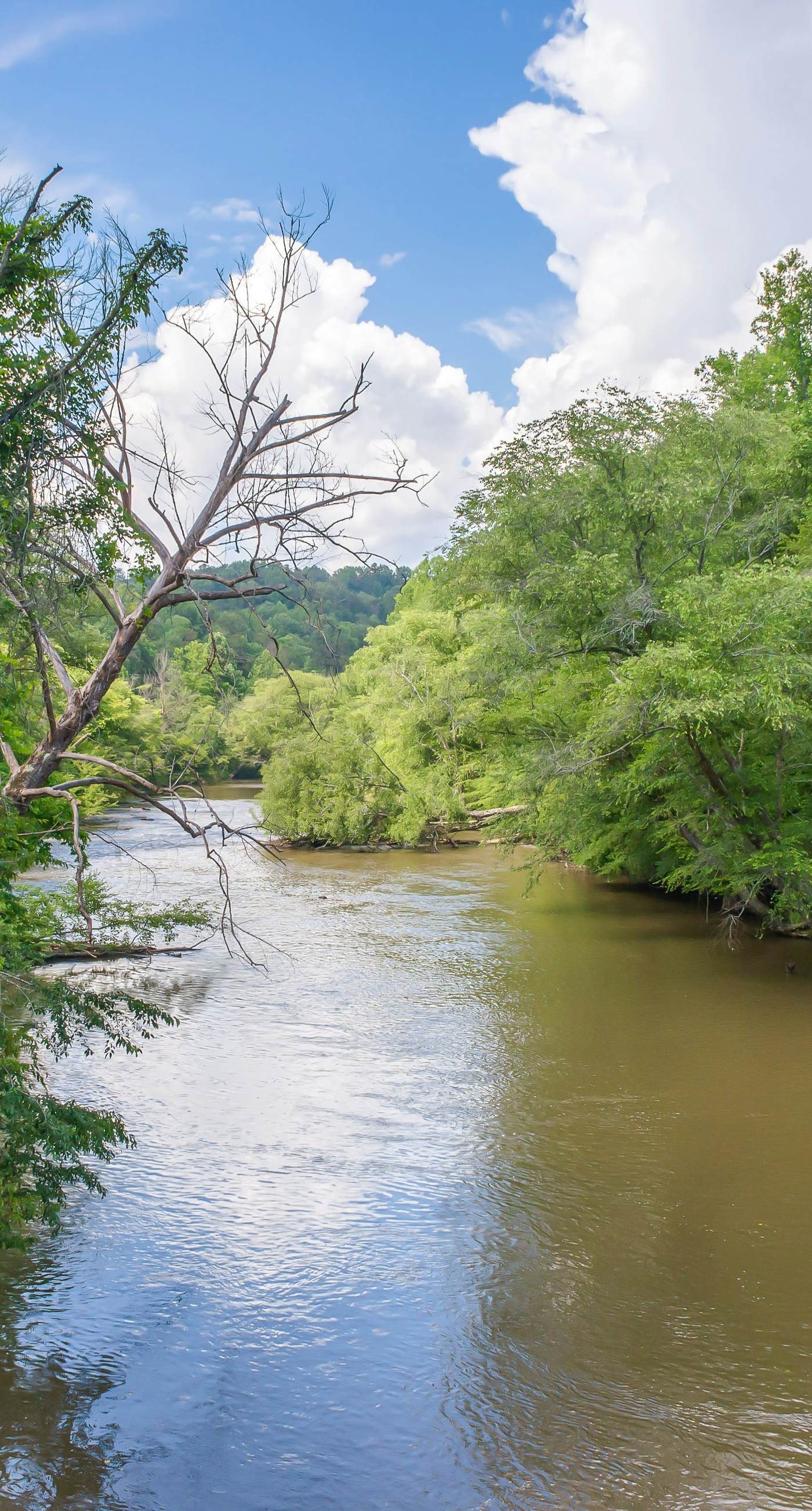 River's Creekside Cabin