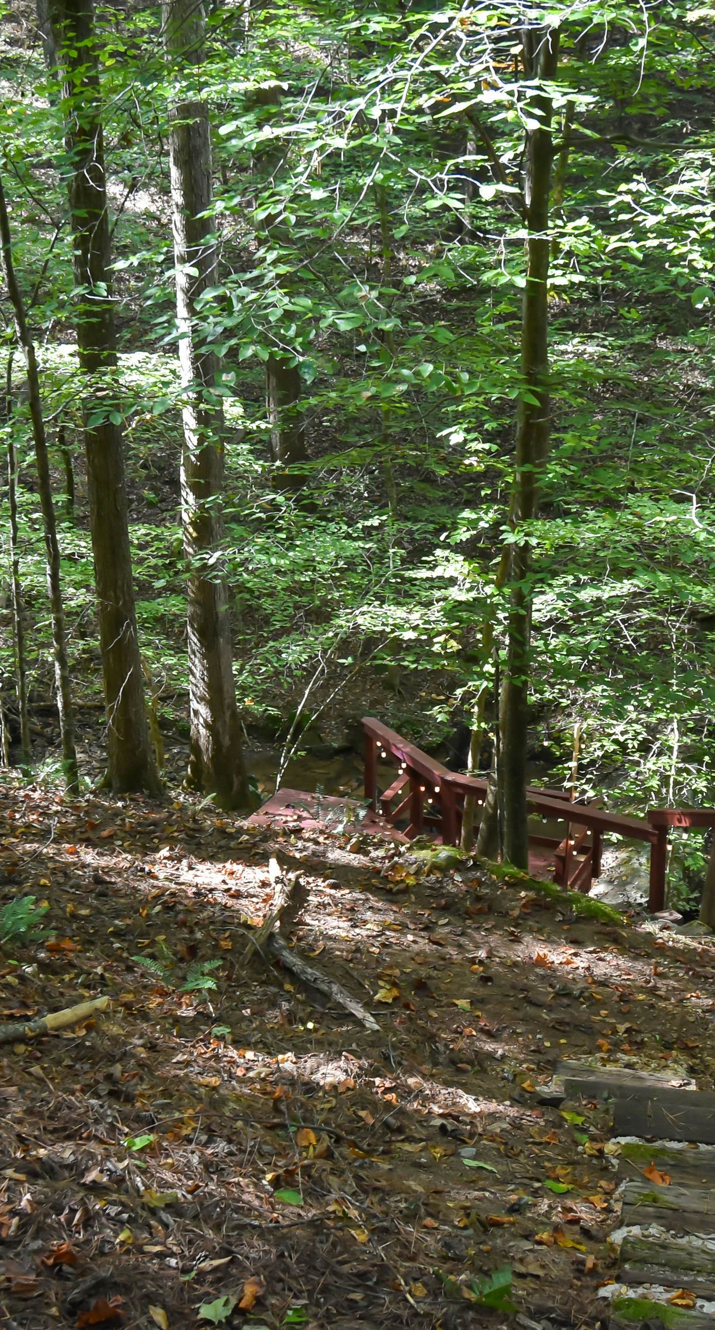 River's Creekside Cabin