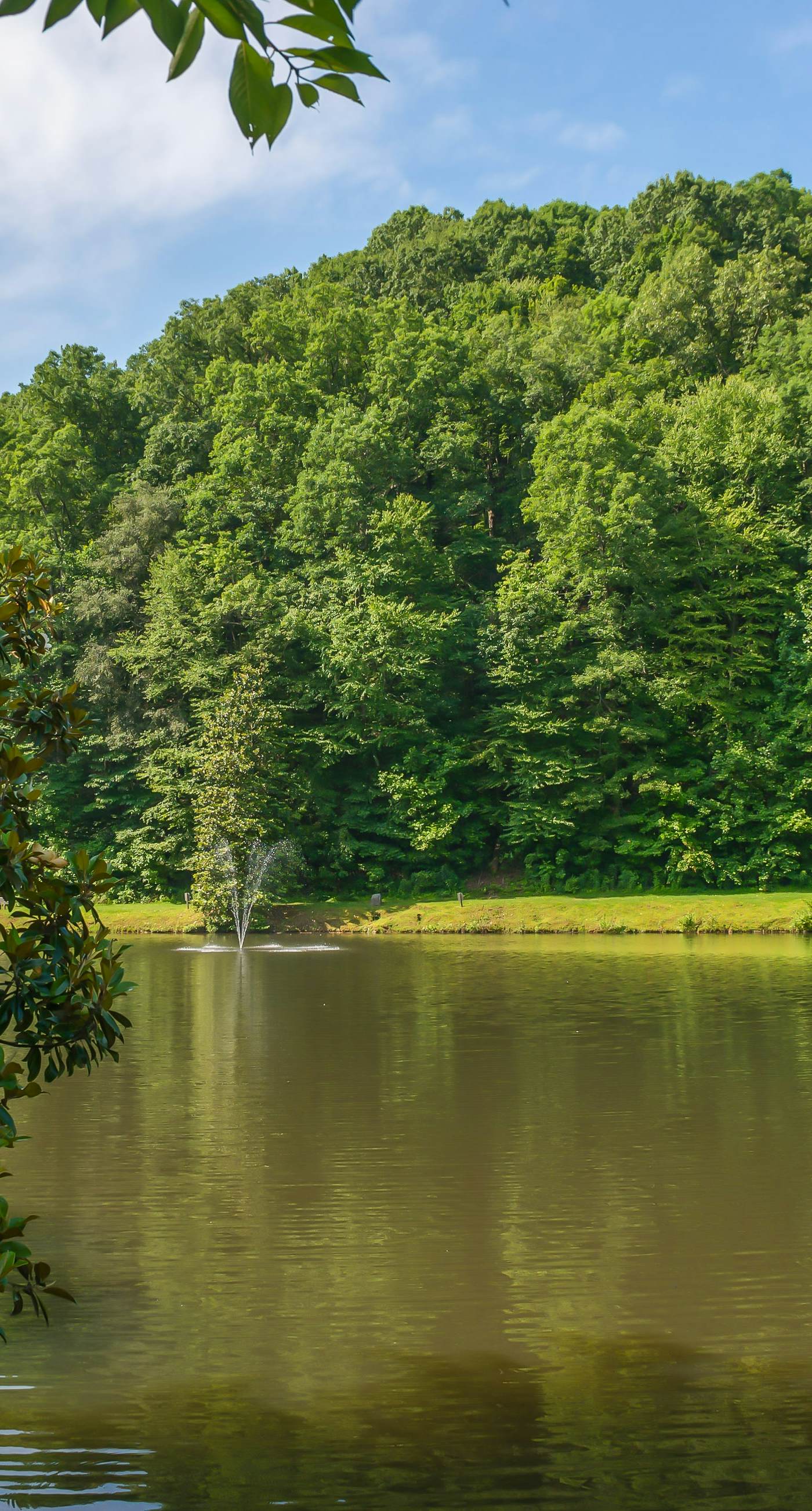 River's Creekside Cabin