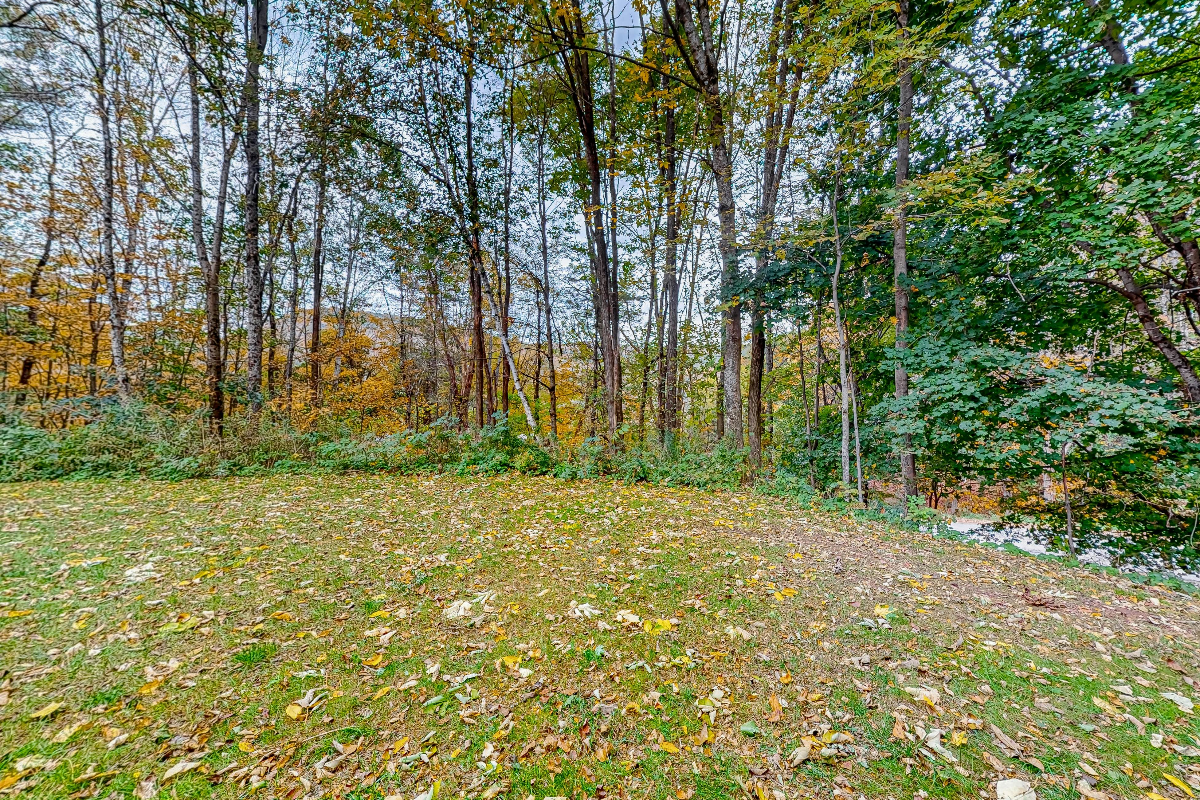 A1 at Castle Hill - Townhome