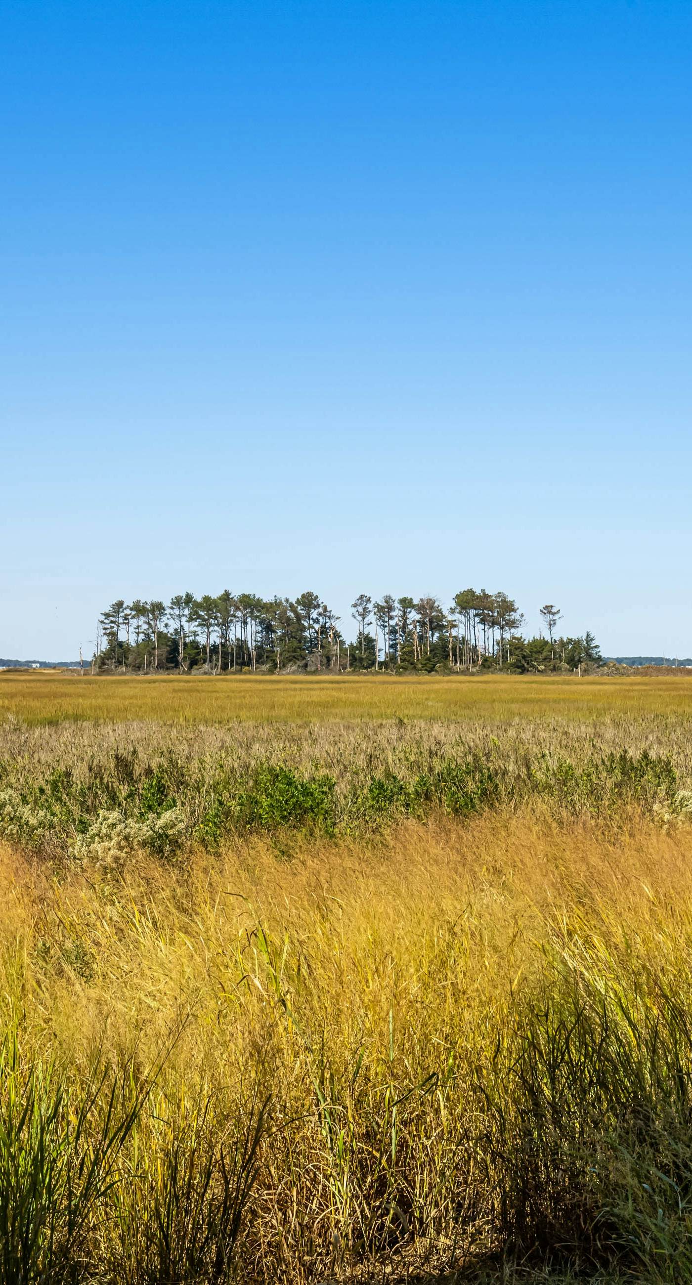 Bethany Bay - 37185 Harbor Dr  #3602