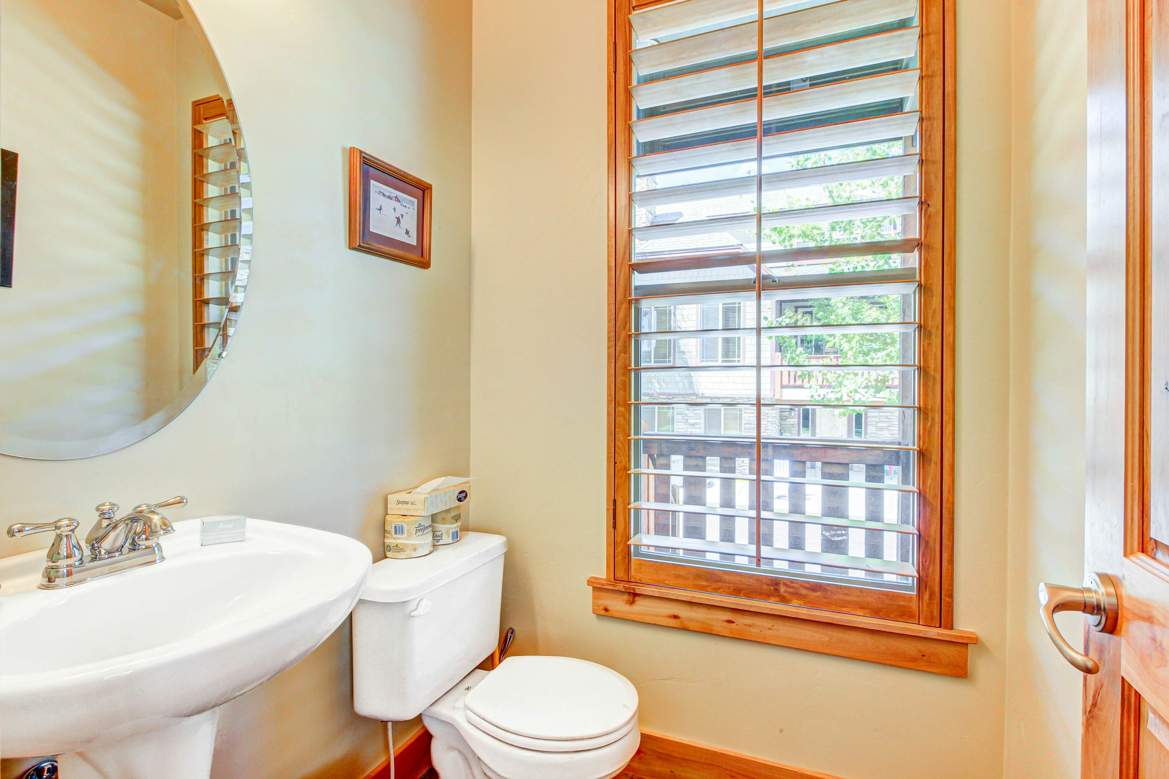 Beauty in Bear Hollow