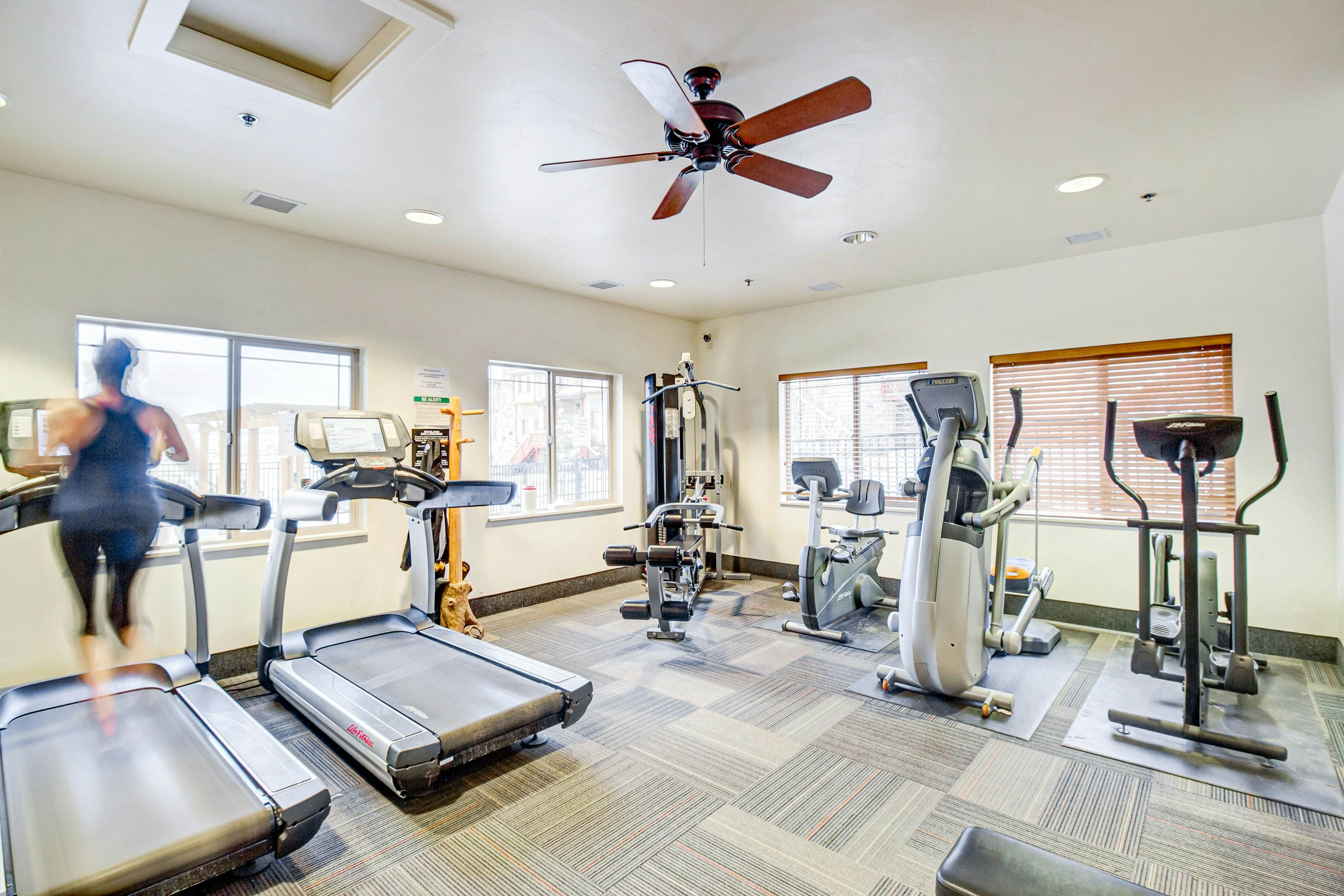 Beauty in Bear Hollow