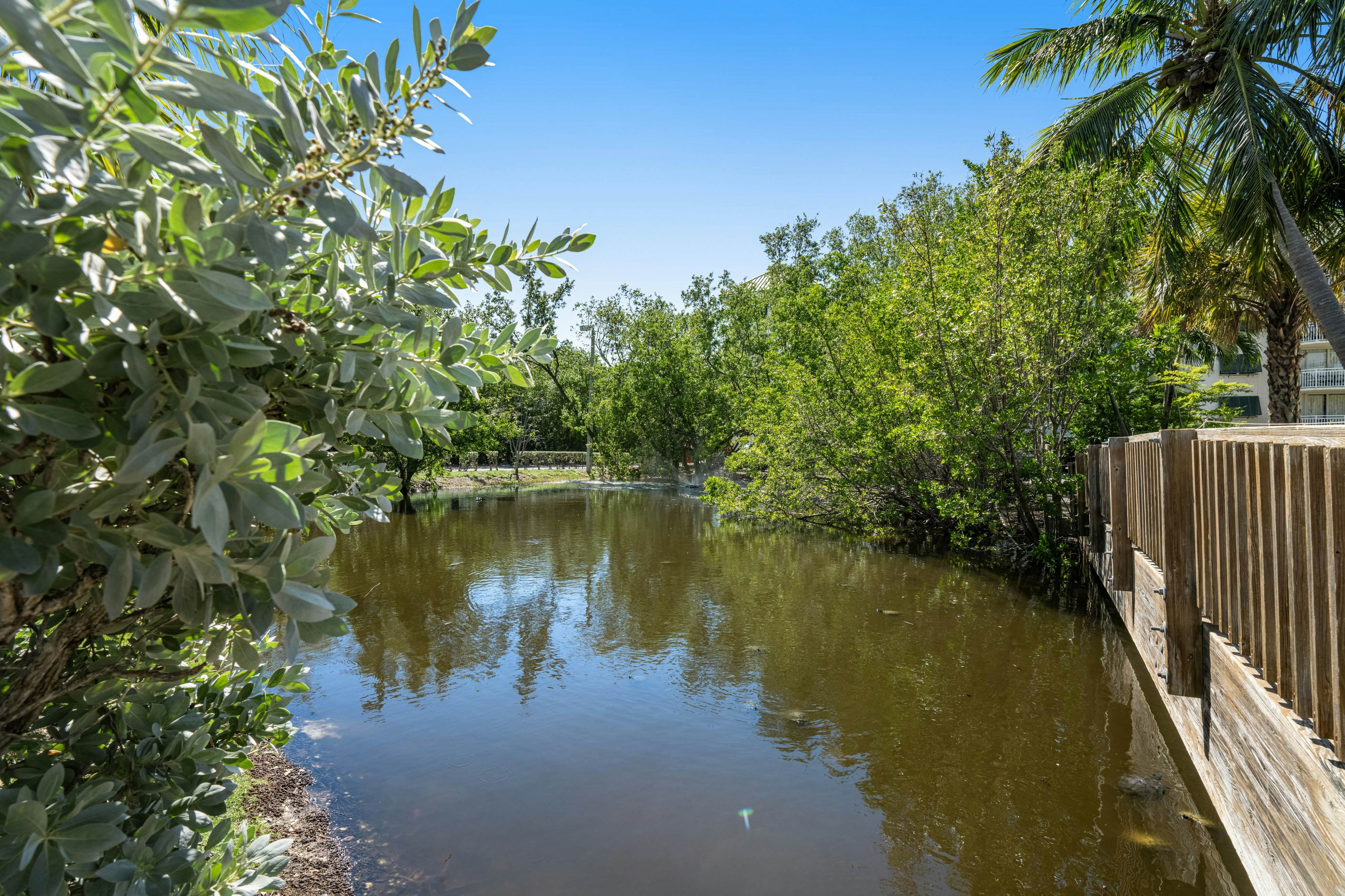 Sunrise Suites - Paradise Escape 407