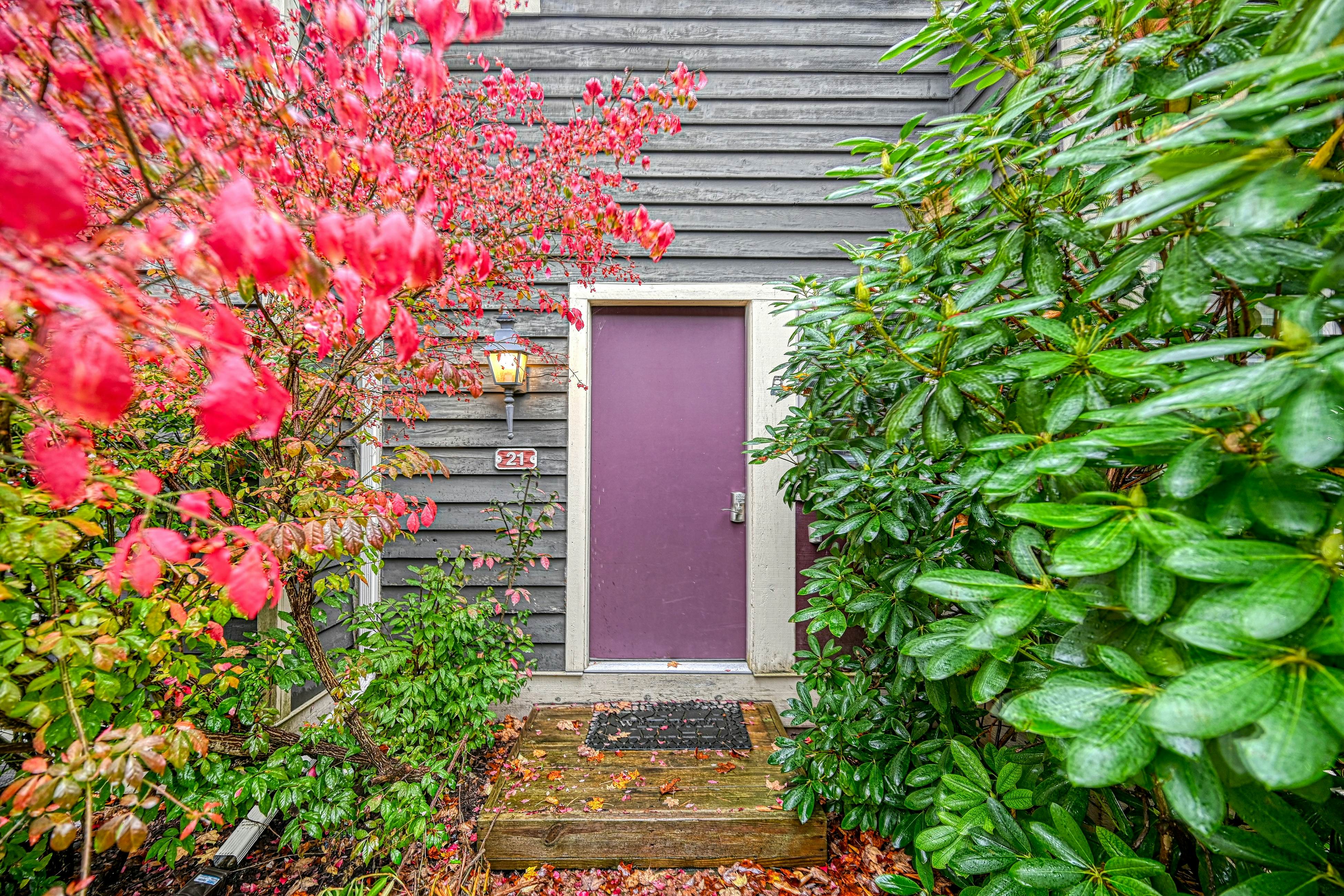 Hibernation Hideaway