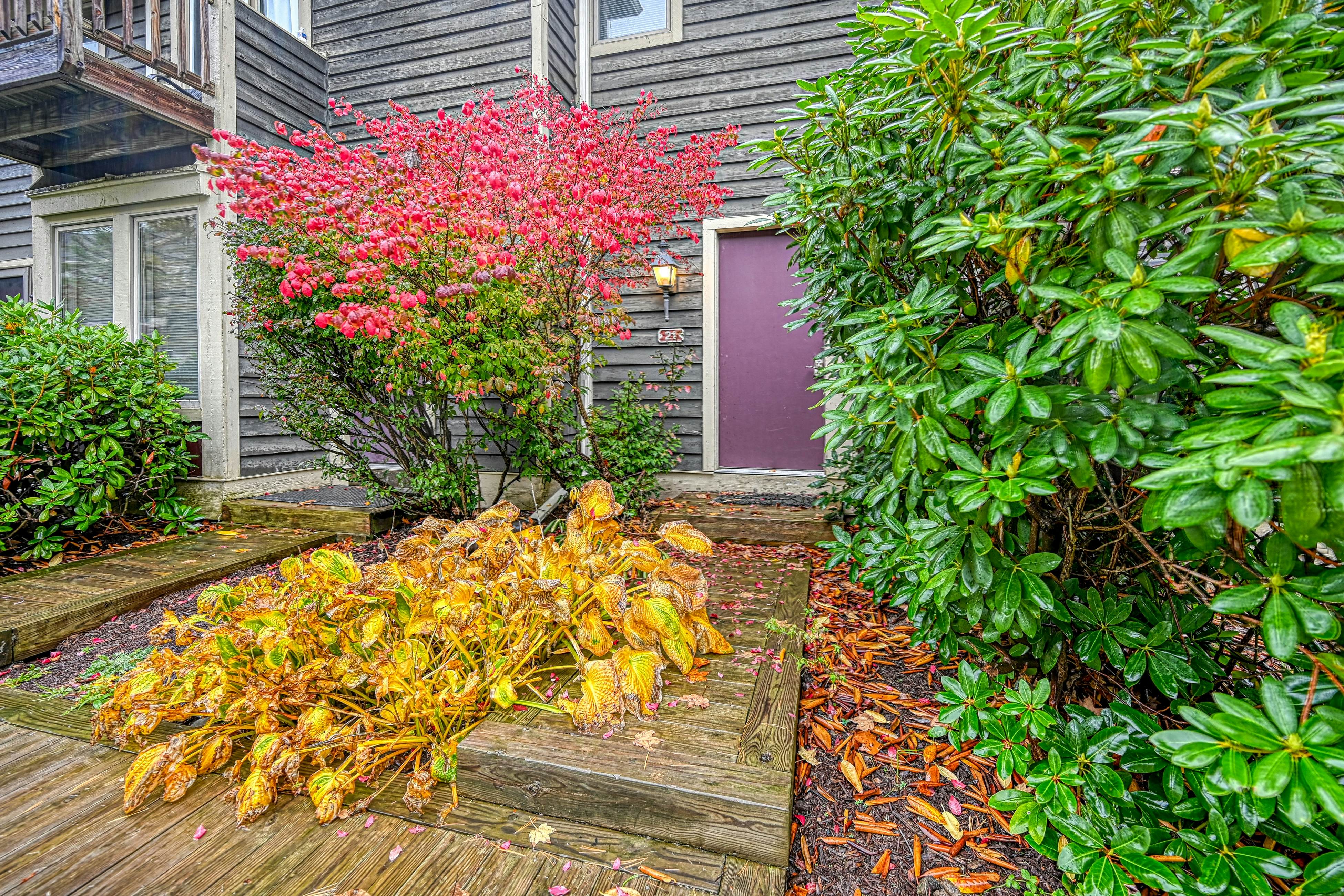 Hibernation Hideaway