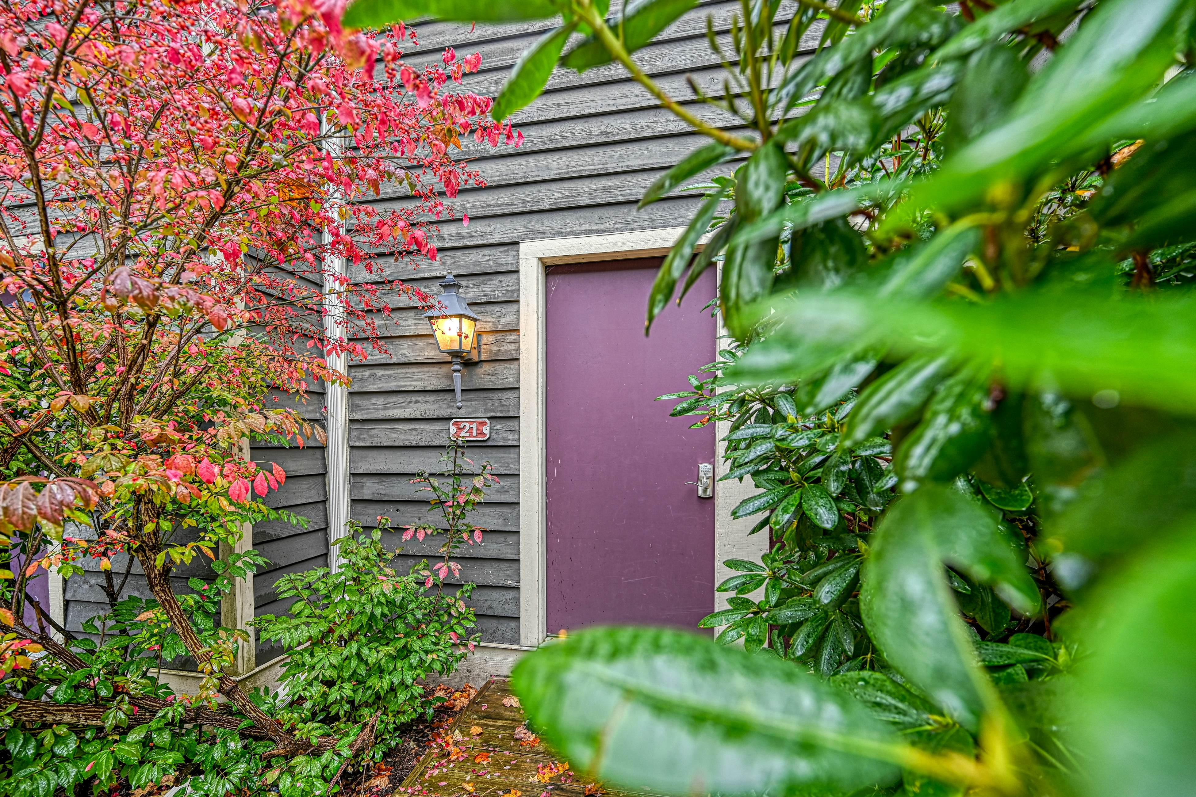 Hibernation Hideaway