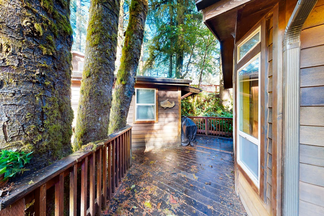 Creekview 1 BD Brookings, OR Vacation Rental Vacasa