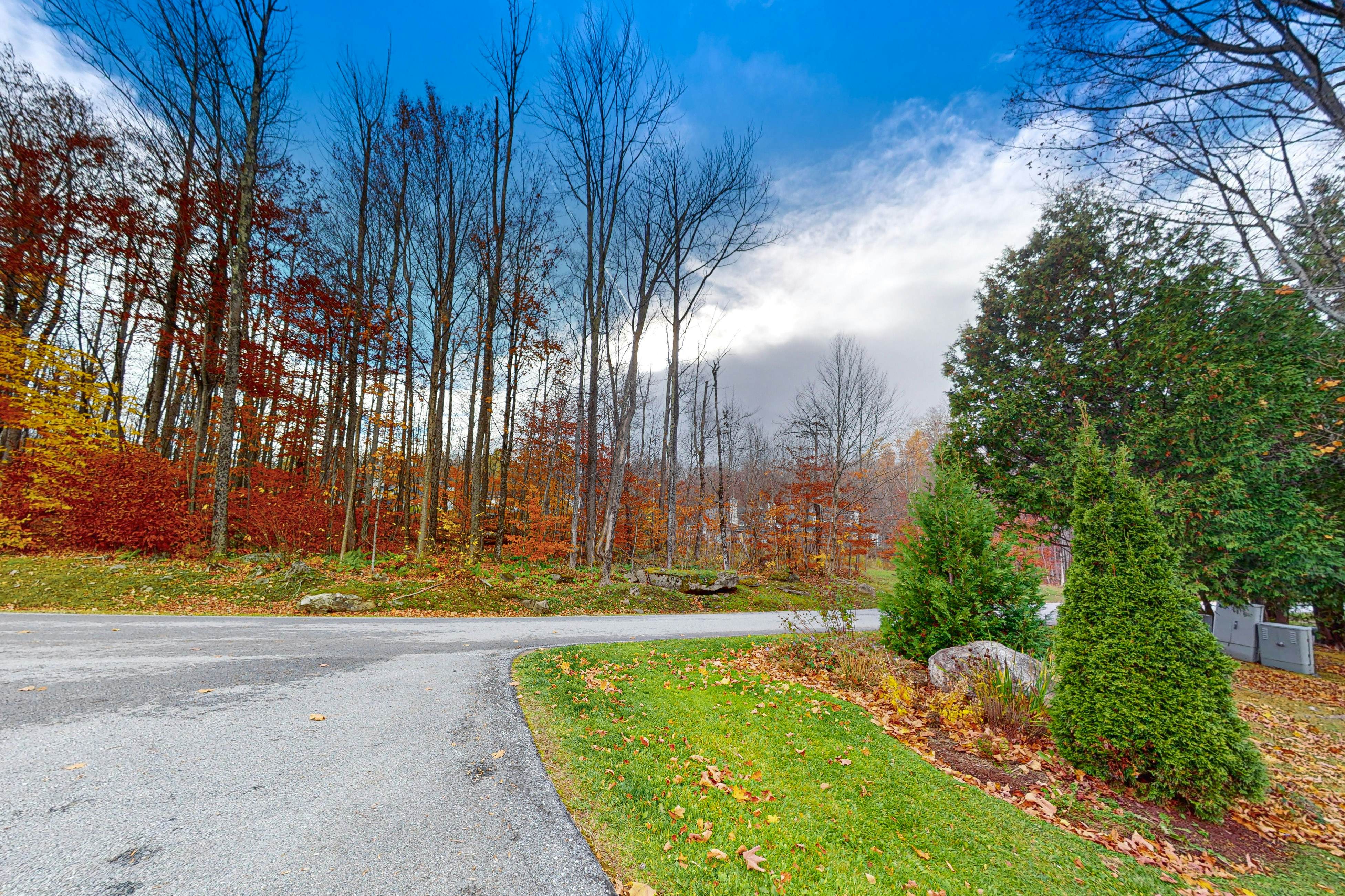 The Woods - Village 4