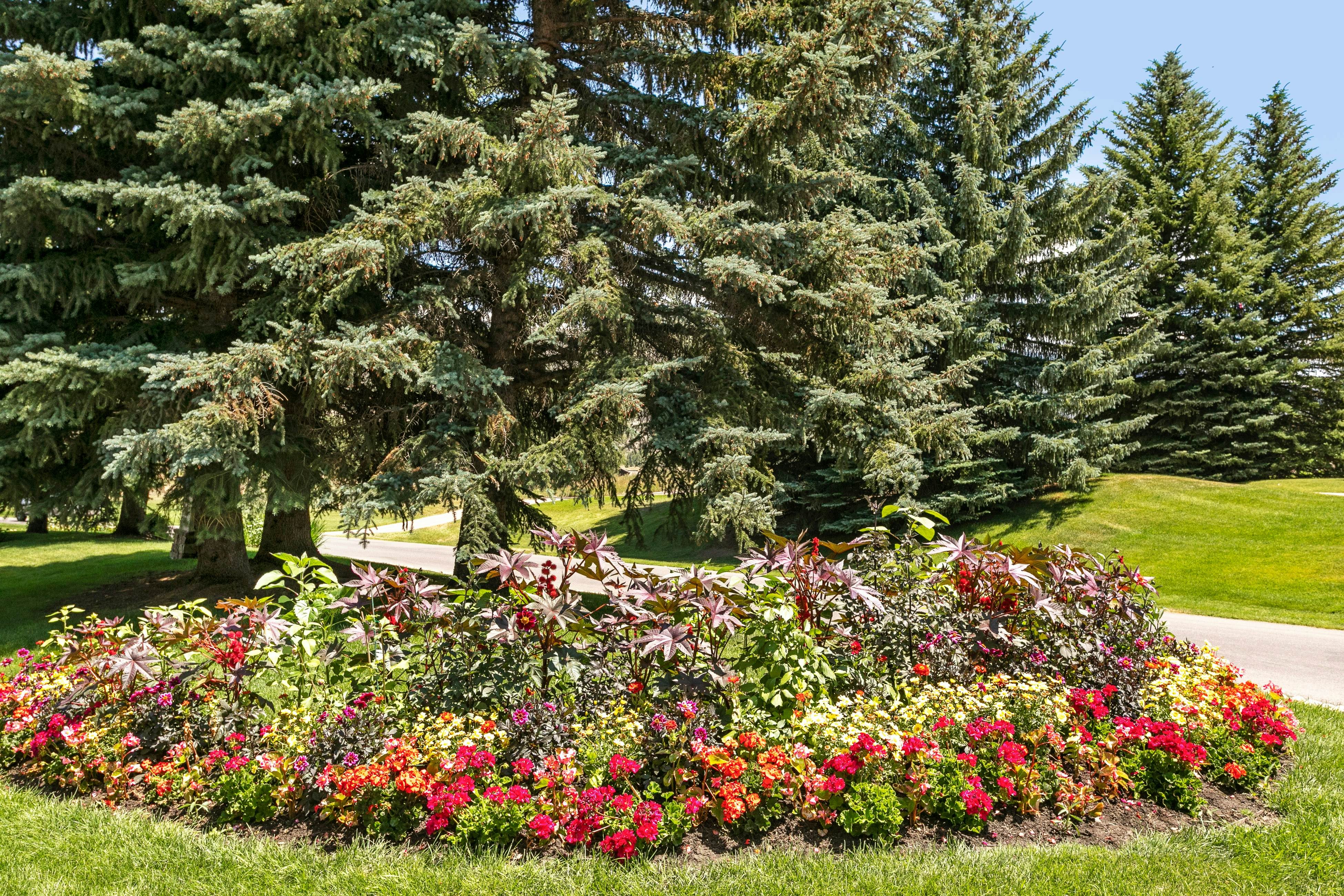 hidden image preload