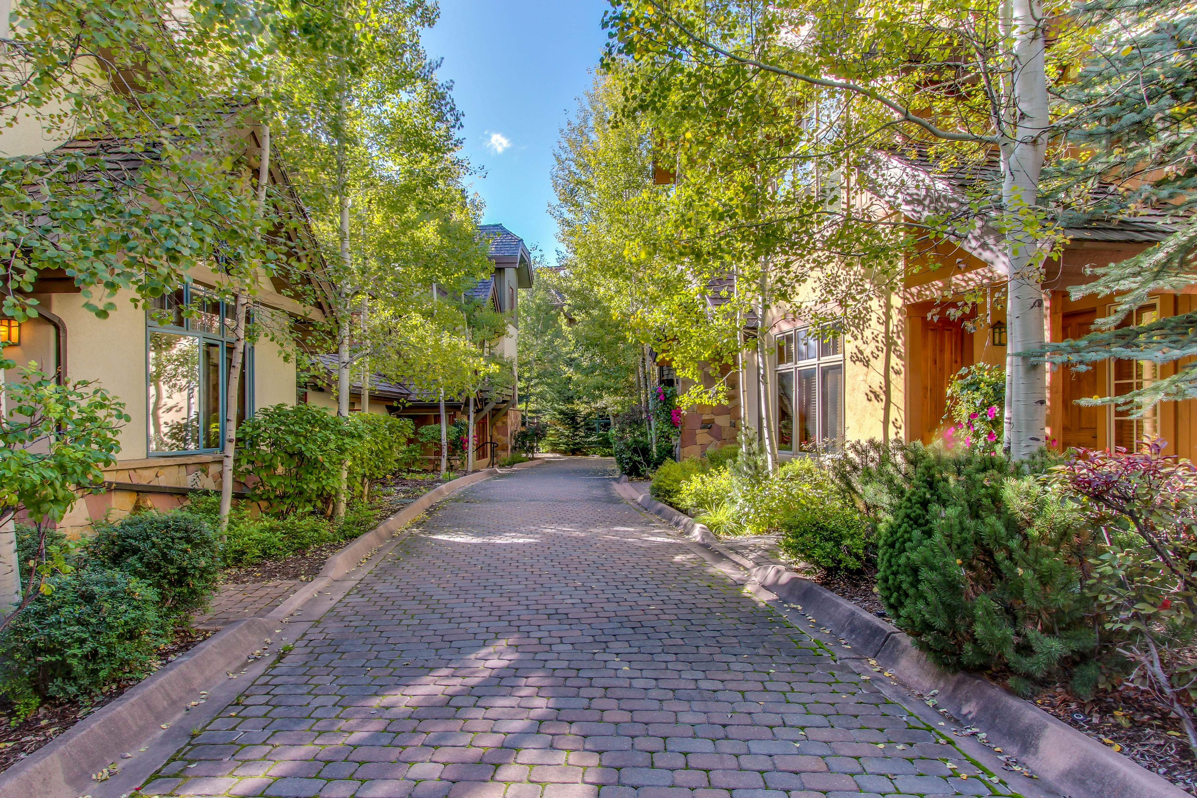 Snowy Spruce Sanctuary