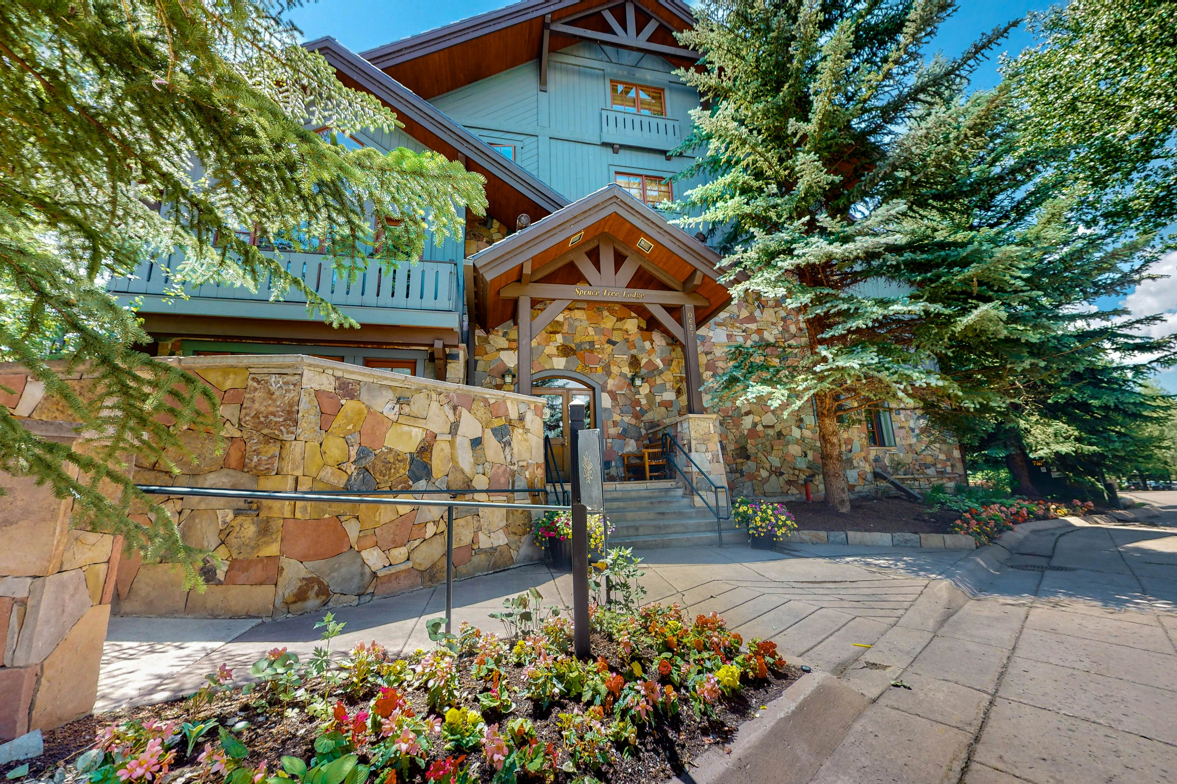 Snowy Spruce Sanctuary