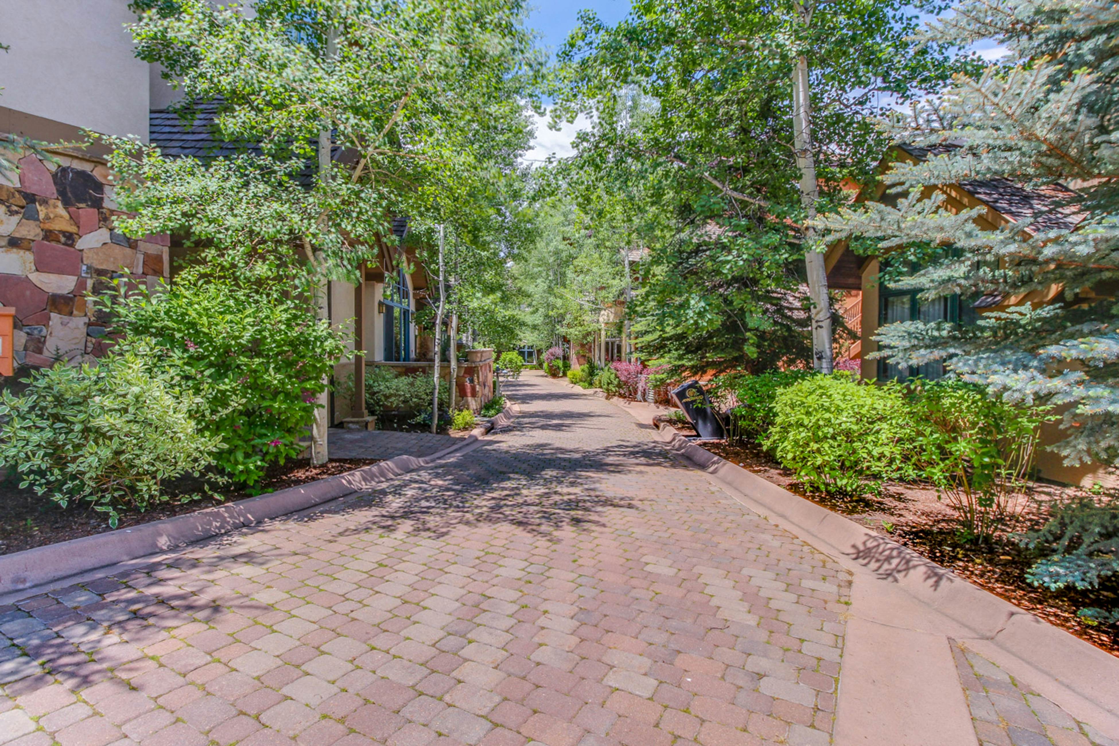 Snowy Spruce Sanctuary