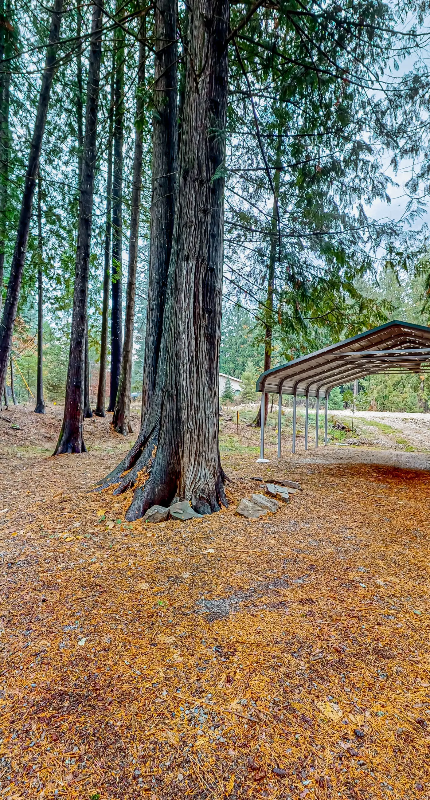 Little Sand Creek Chalet