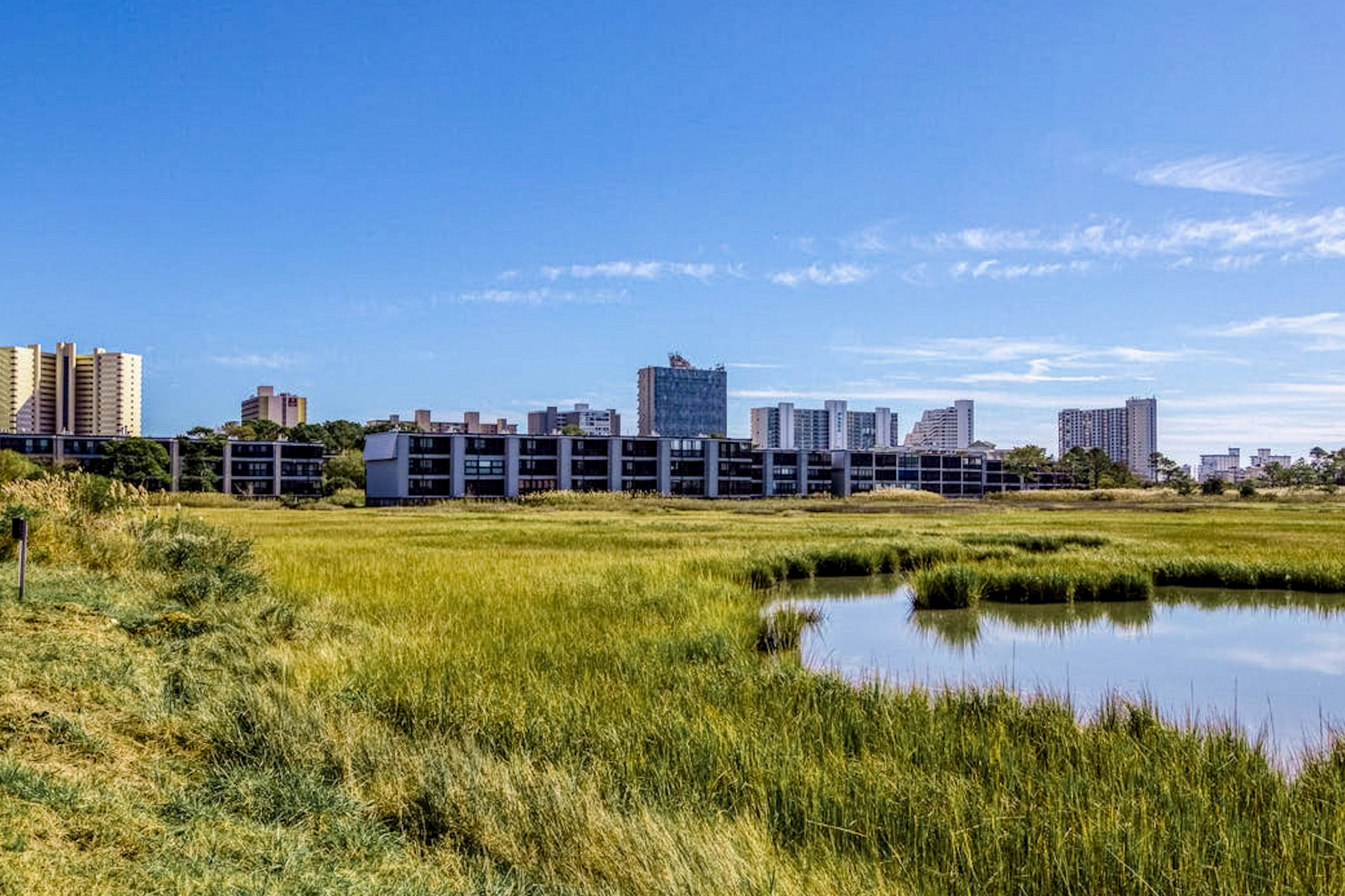 Our Place At The Beach 307H