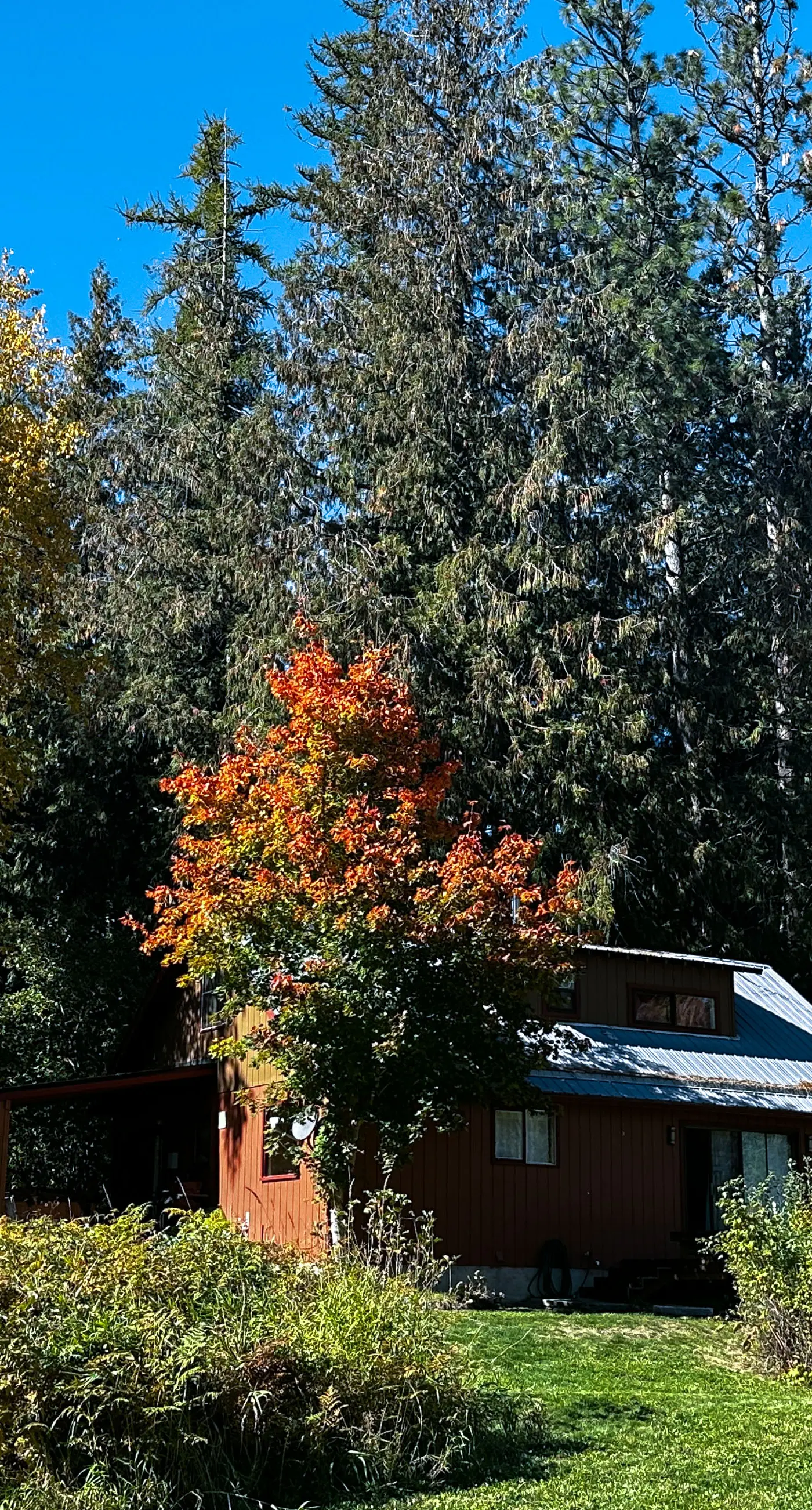 Little Sand Creek Chalet