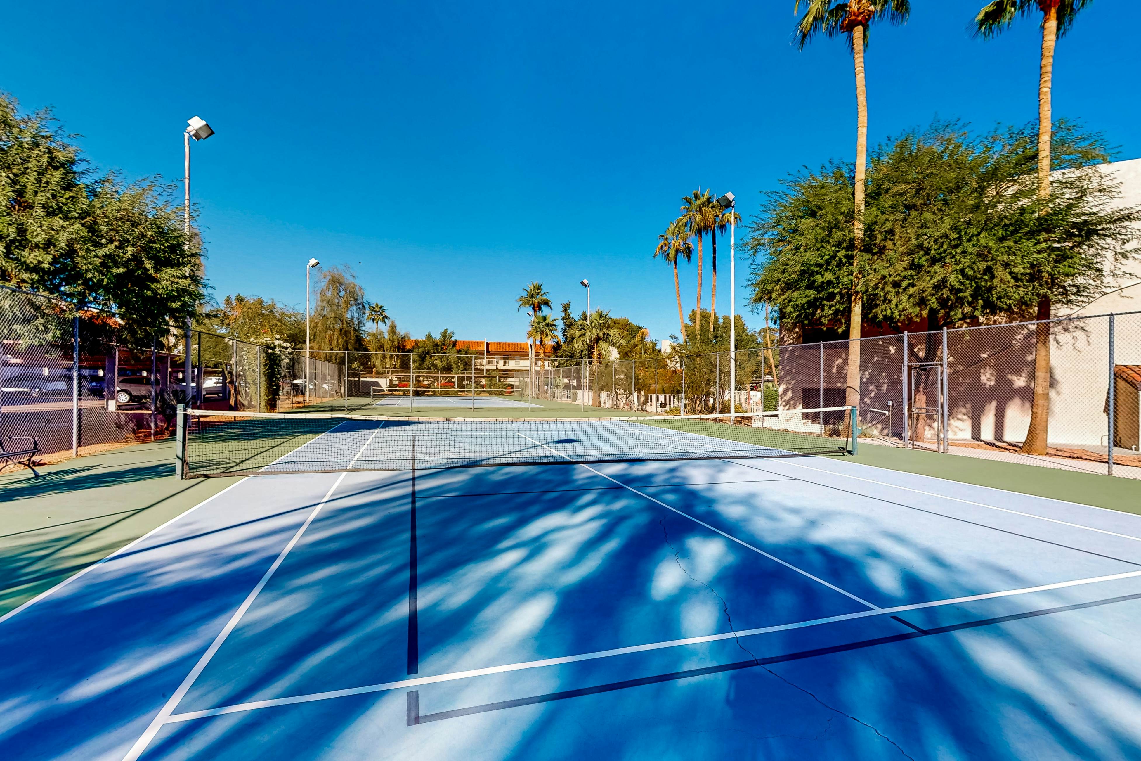 The Palm Searcher, Unit 344