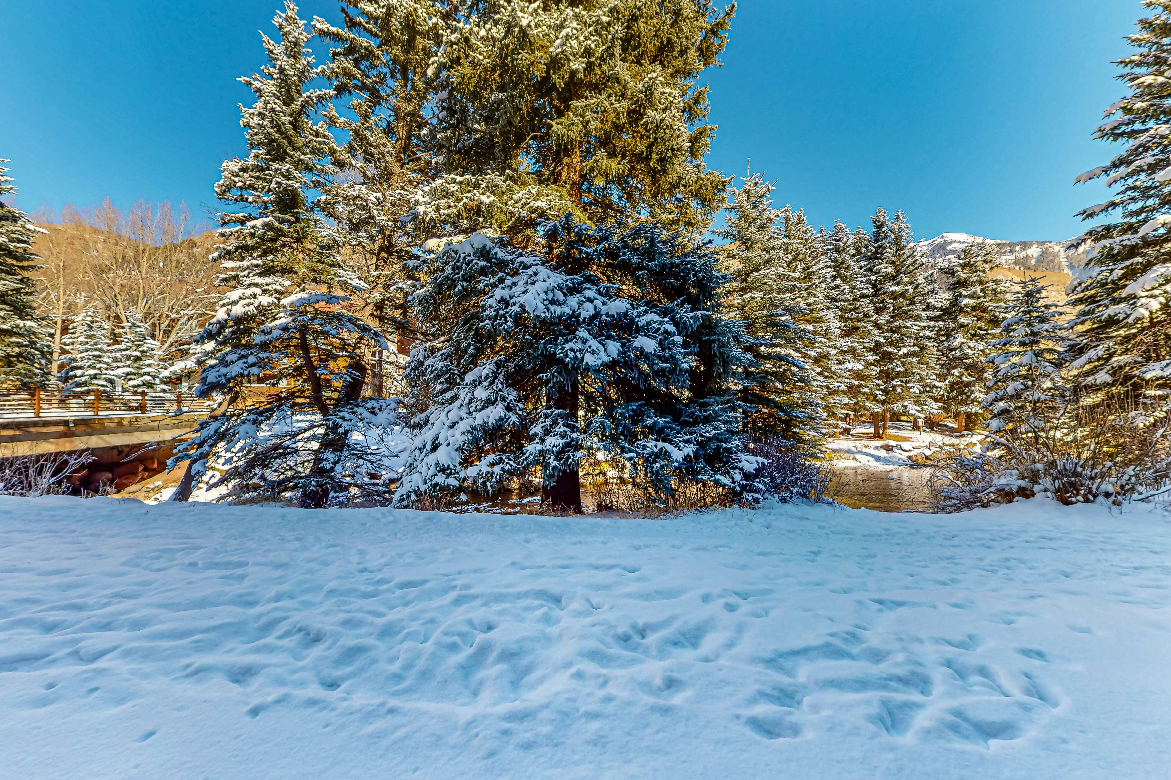 Riverside A02 - Riverside Chickadee