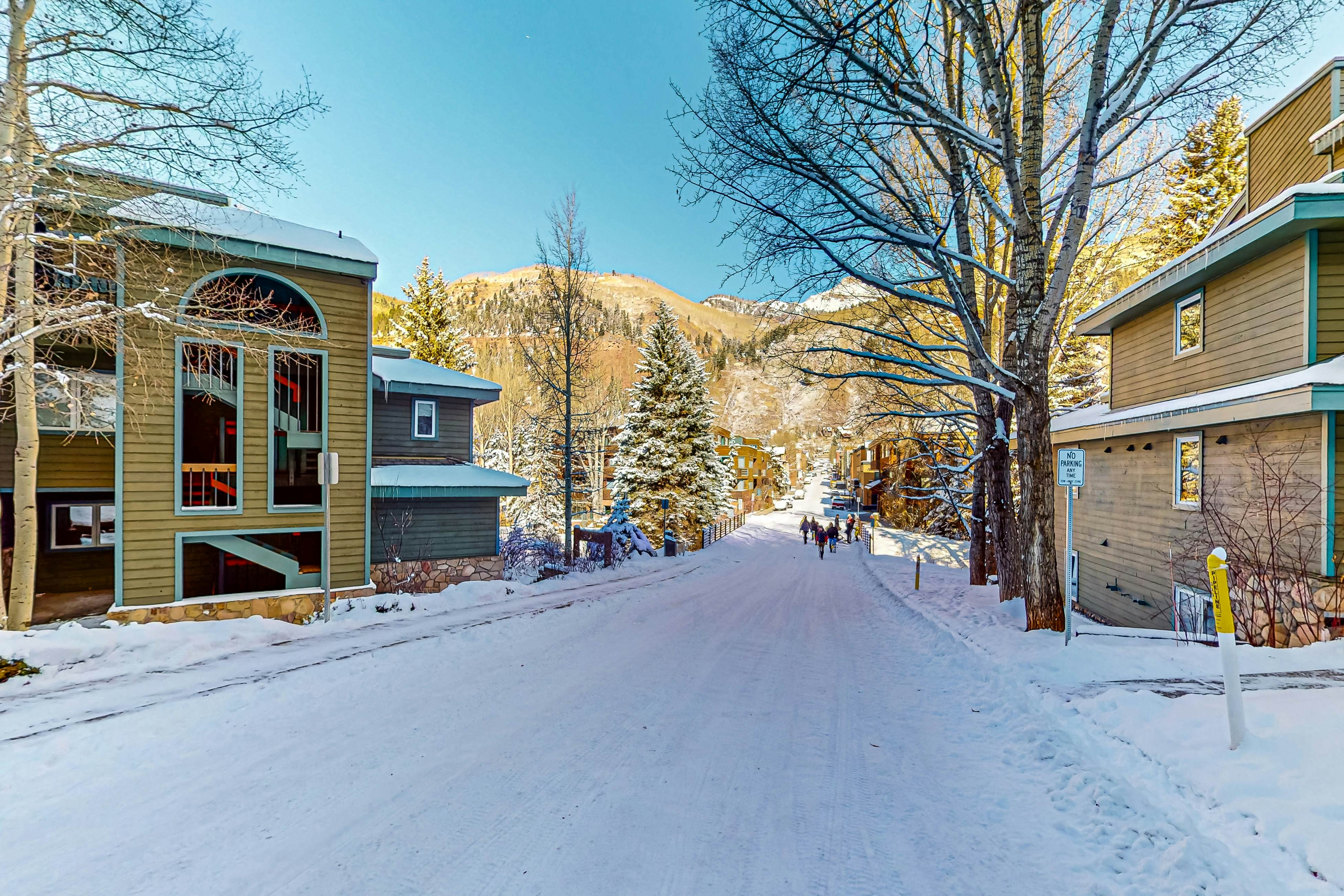 Riverside A02 - Riverside Chickadee