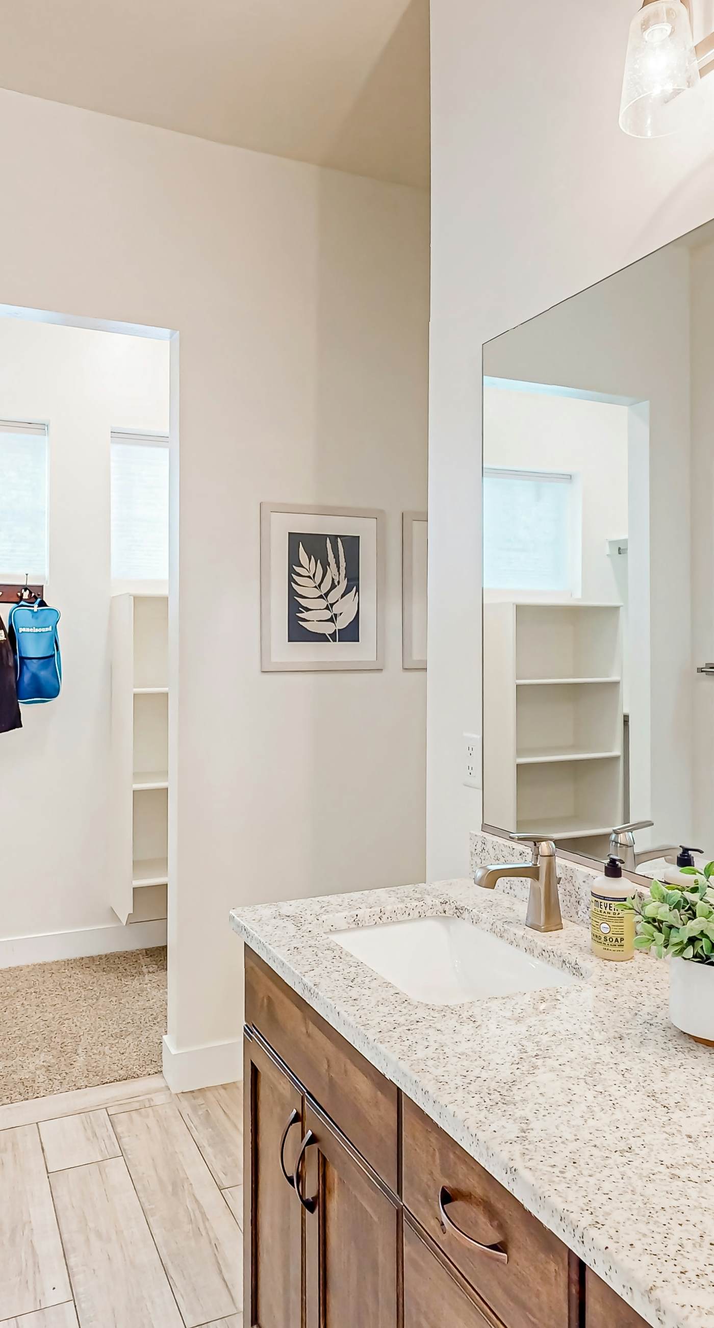 Santa Clara Starlight-Ocotillo 9