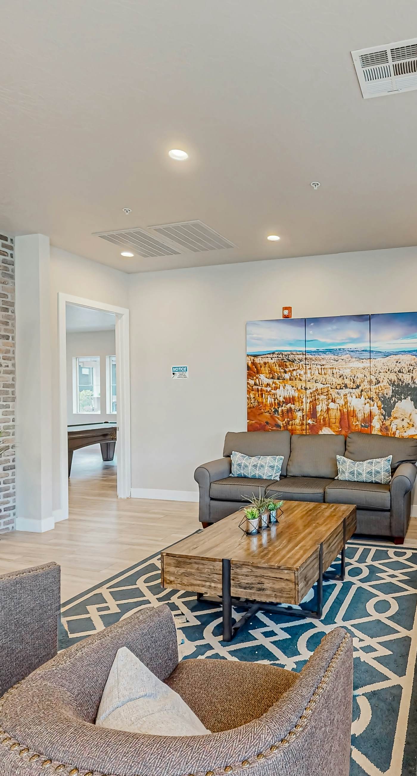 Santa Clara Starlight-Ocotillo 9