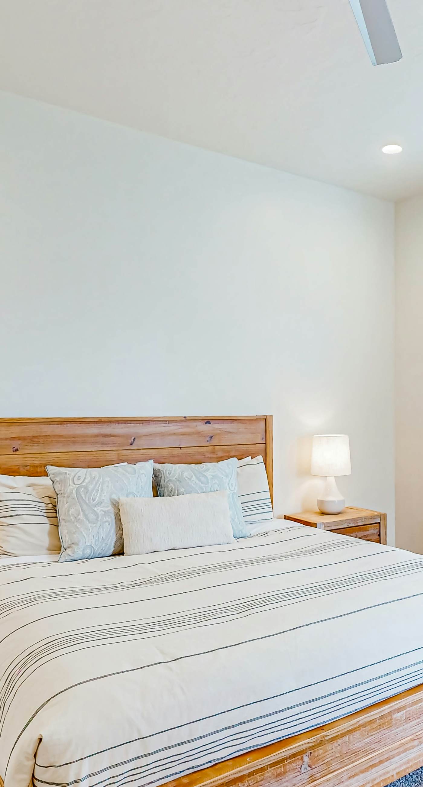 Santa Clara Starlight-Ocotillo 9