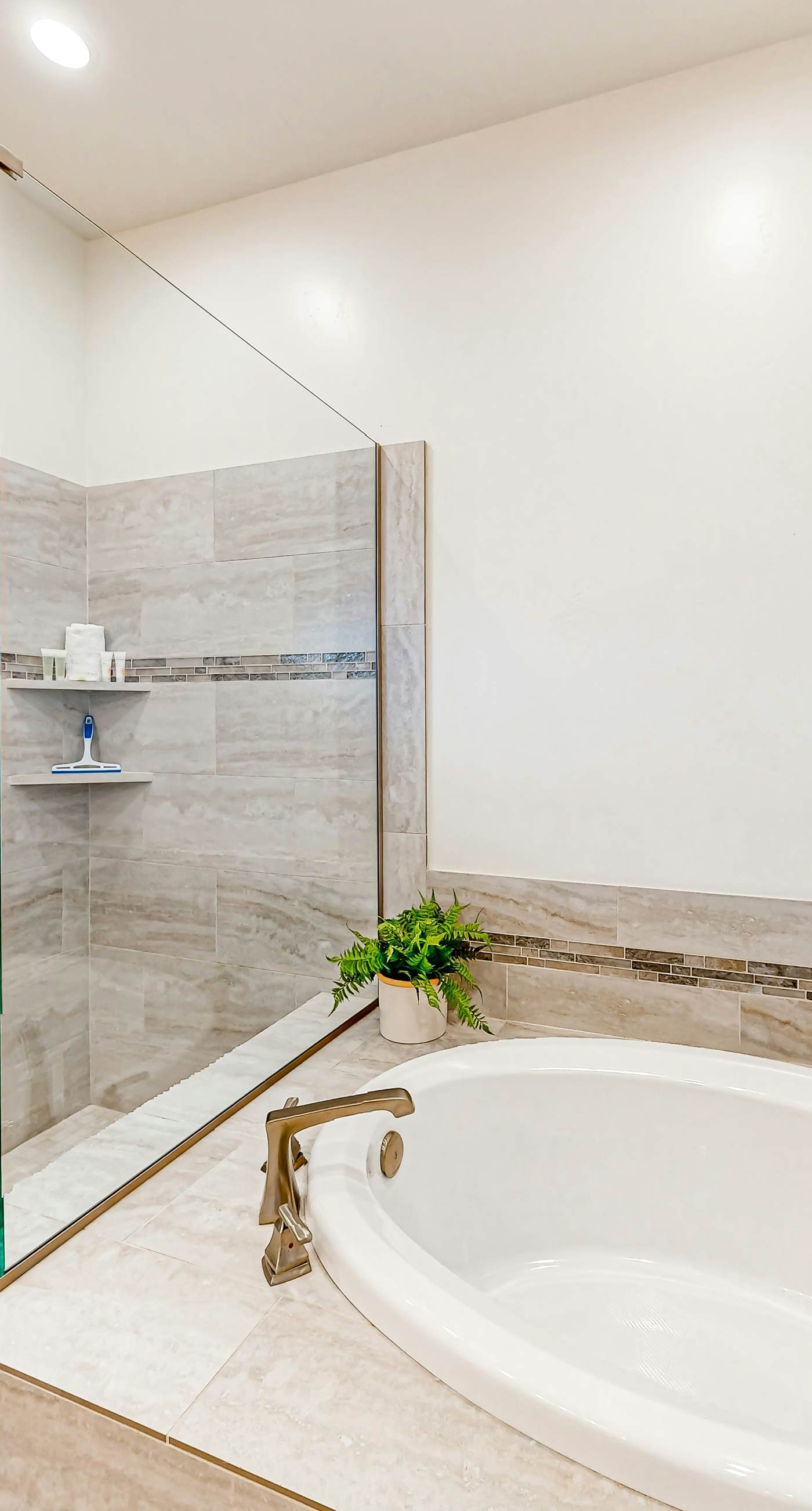 Santa Clara Starlight-Ocotillo 9