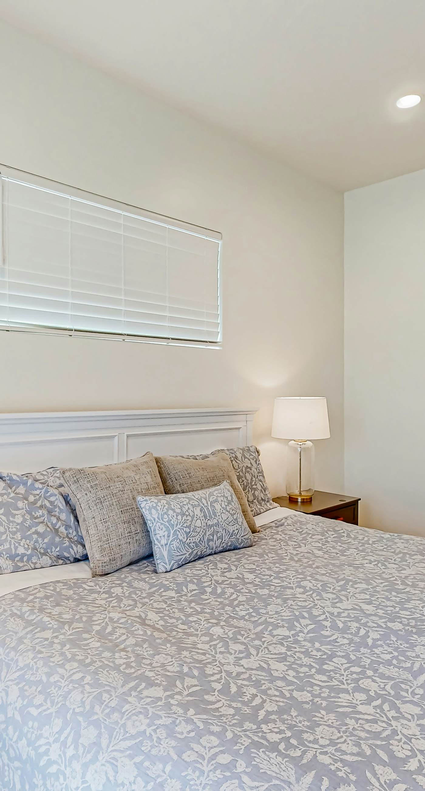 Santa Clara Starlight-Ocotillo 9