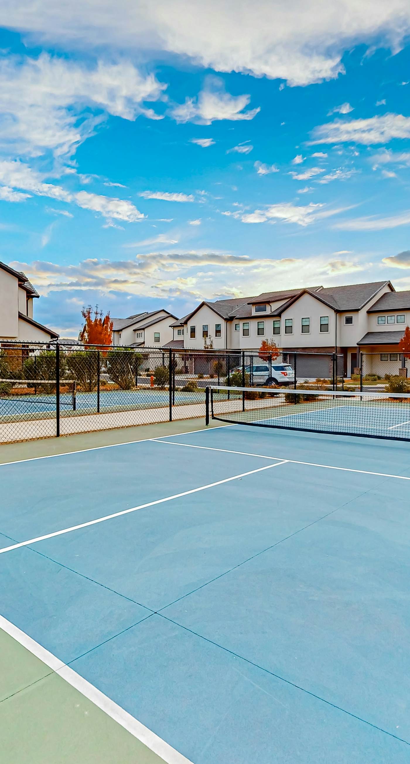 Santa Clara Starlight-Ocotillo 9