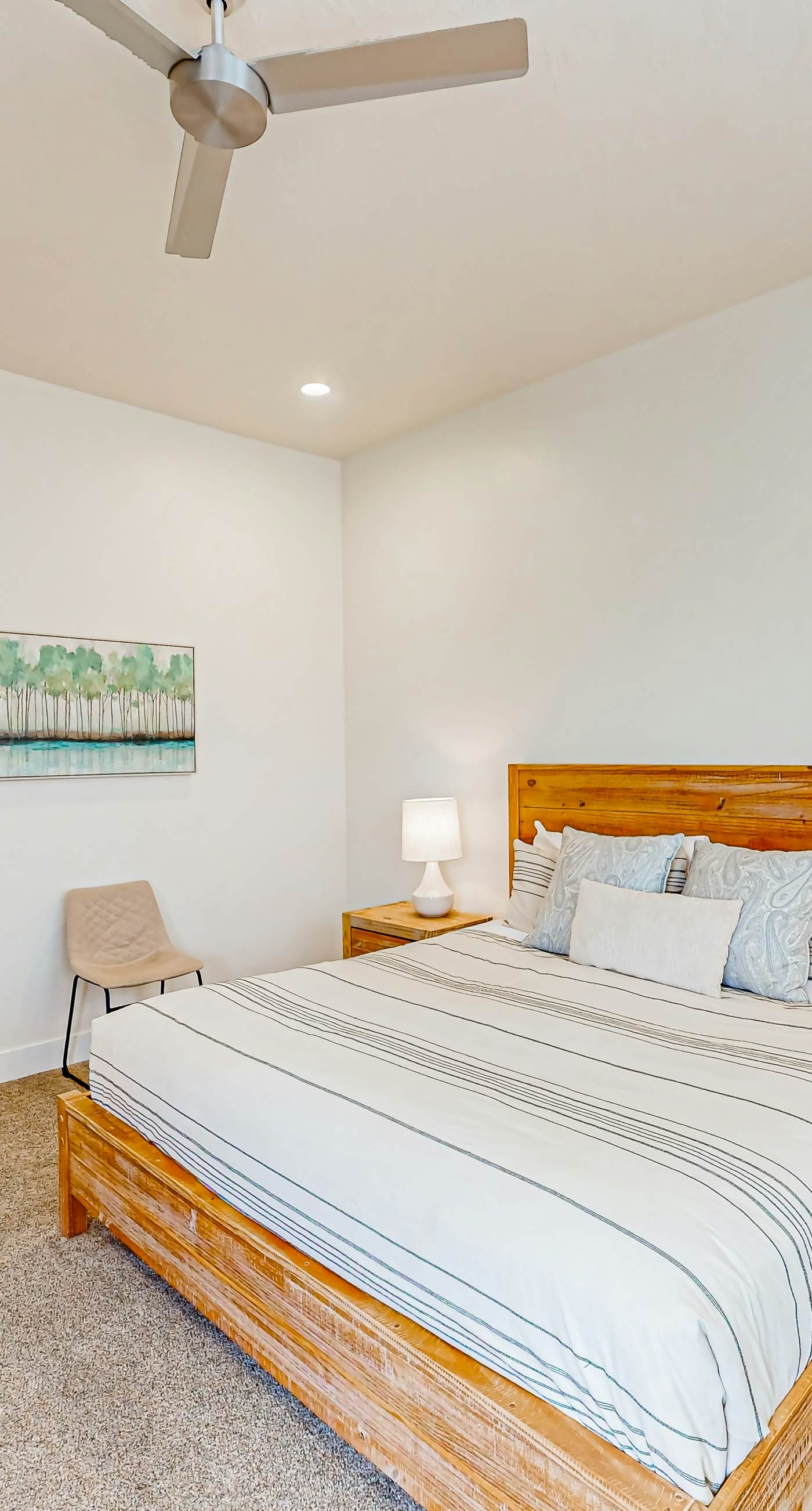 Santa Clara Starlight-Ocotillo 9