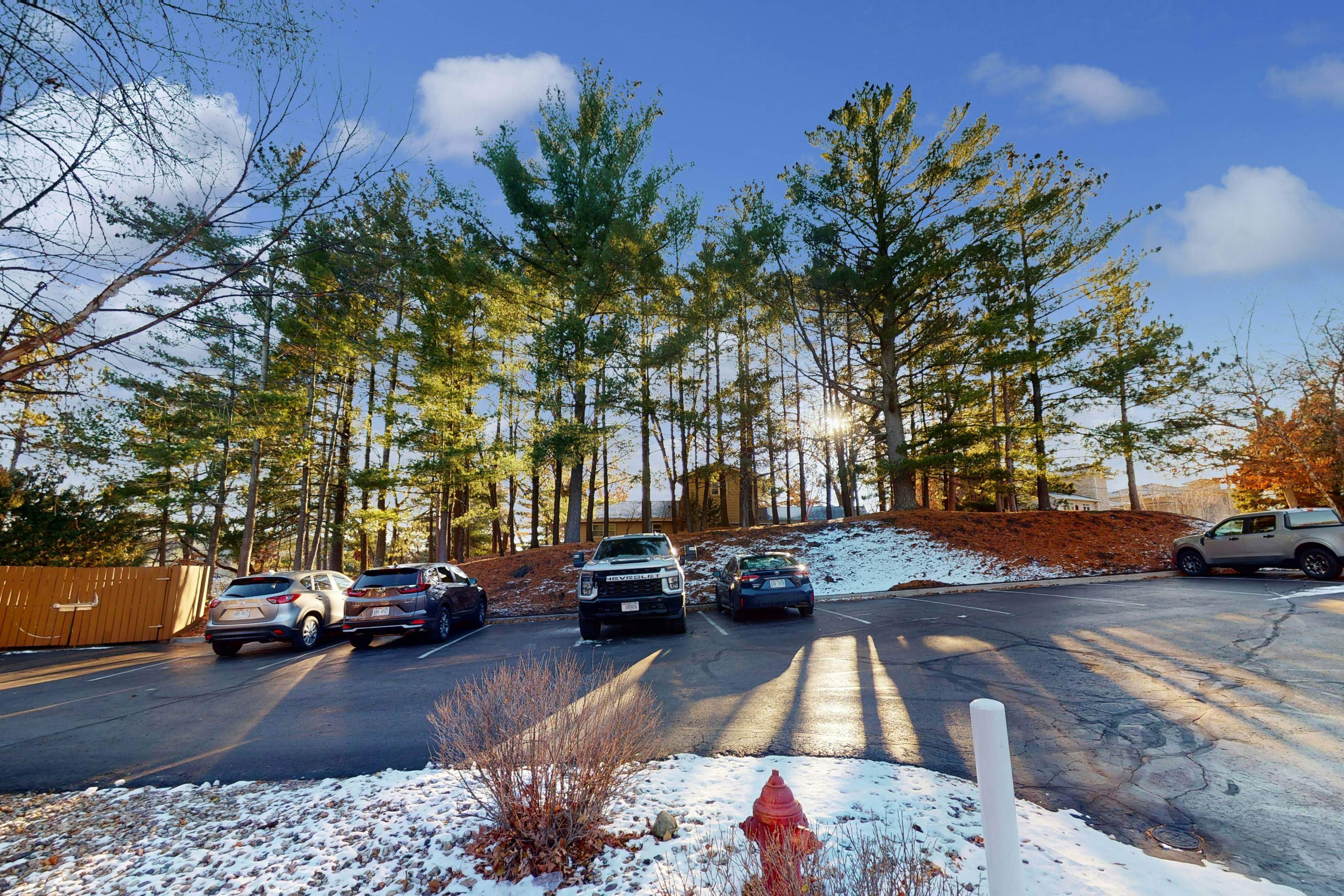 Delton Grand Resort #424