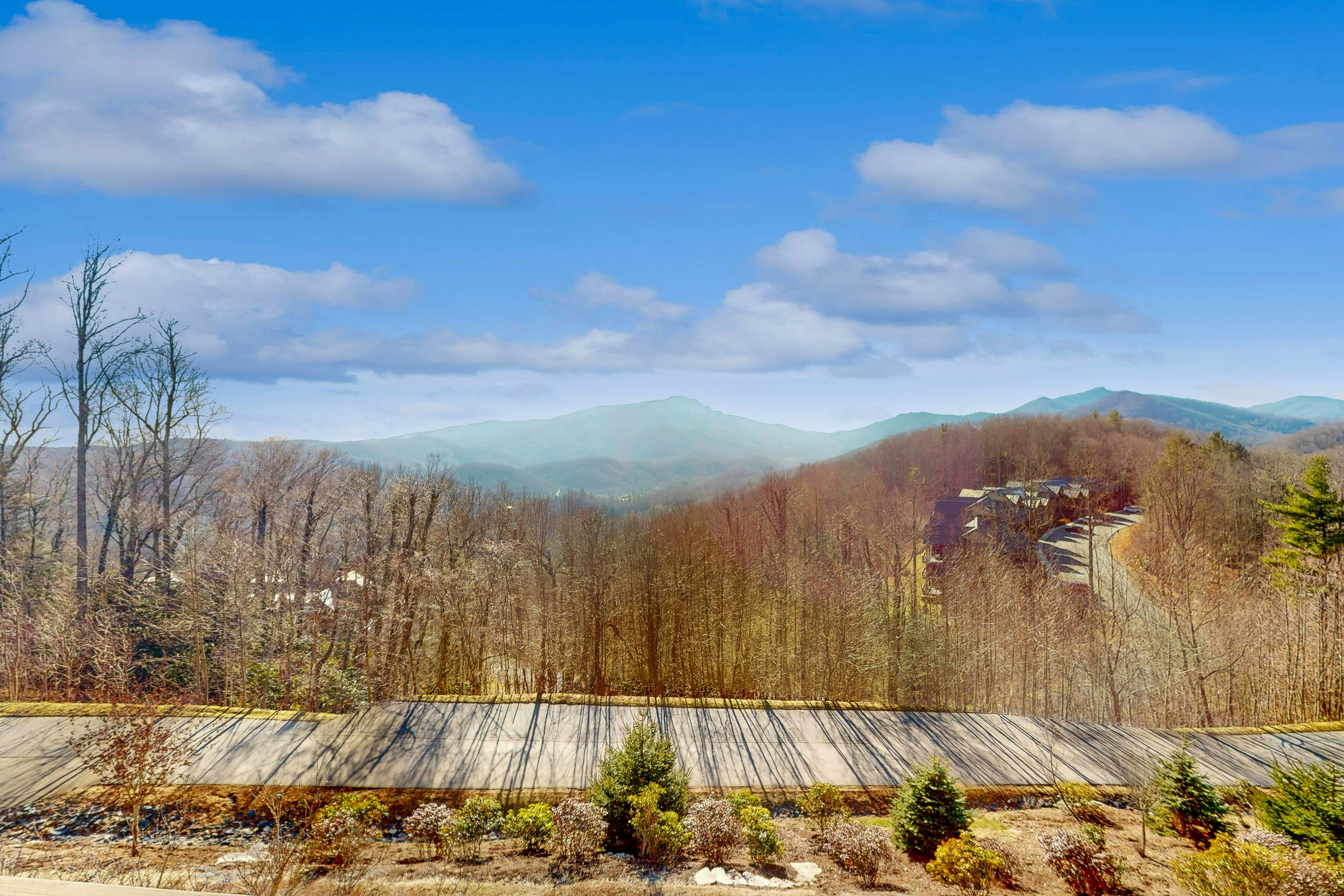 Luminous Pine Hideaway