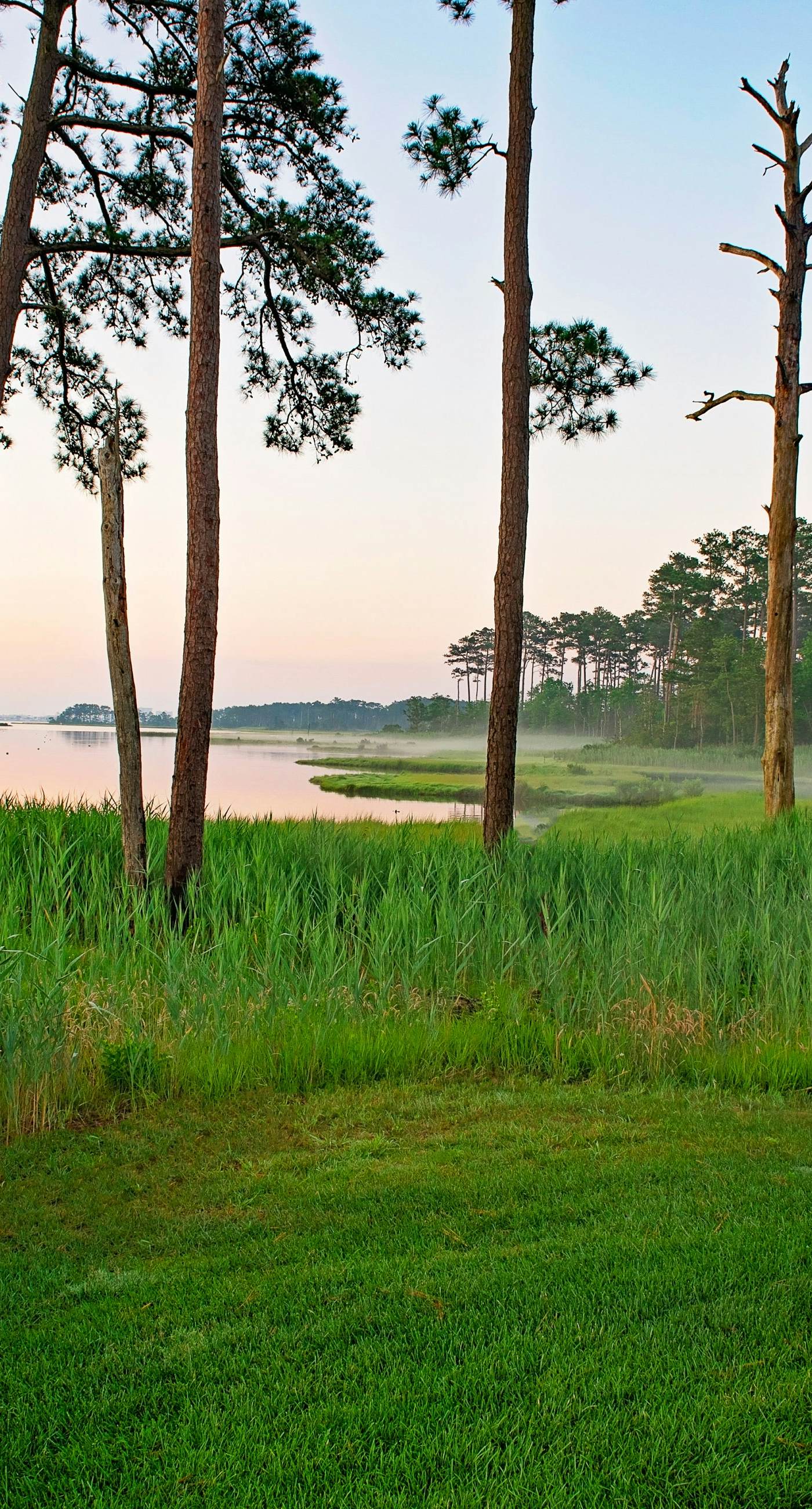 Bayside Resort - 31738 Lakeview Dr #202A