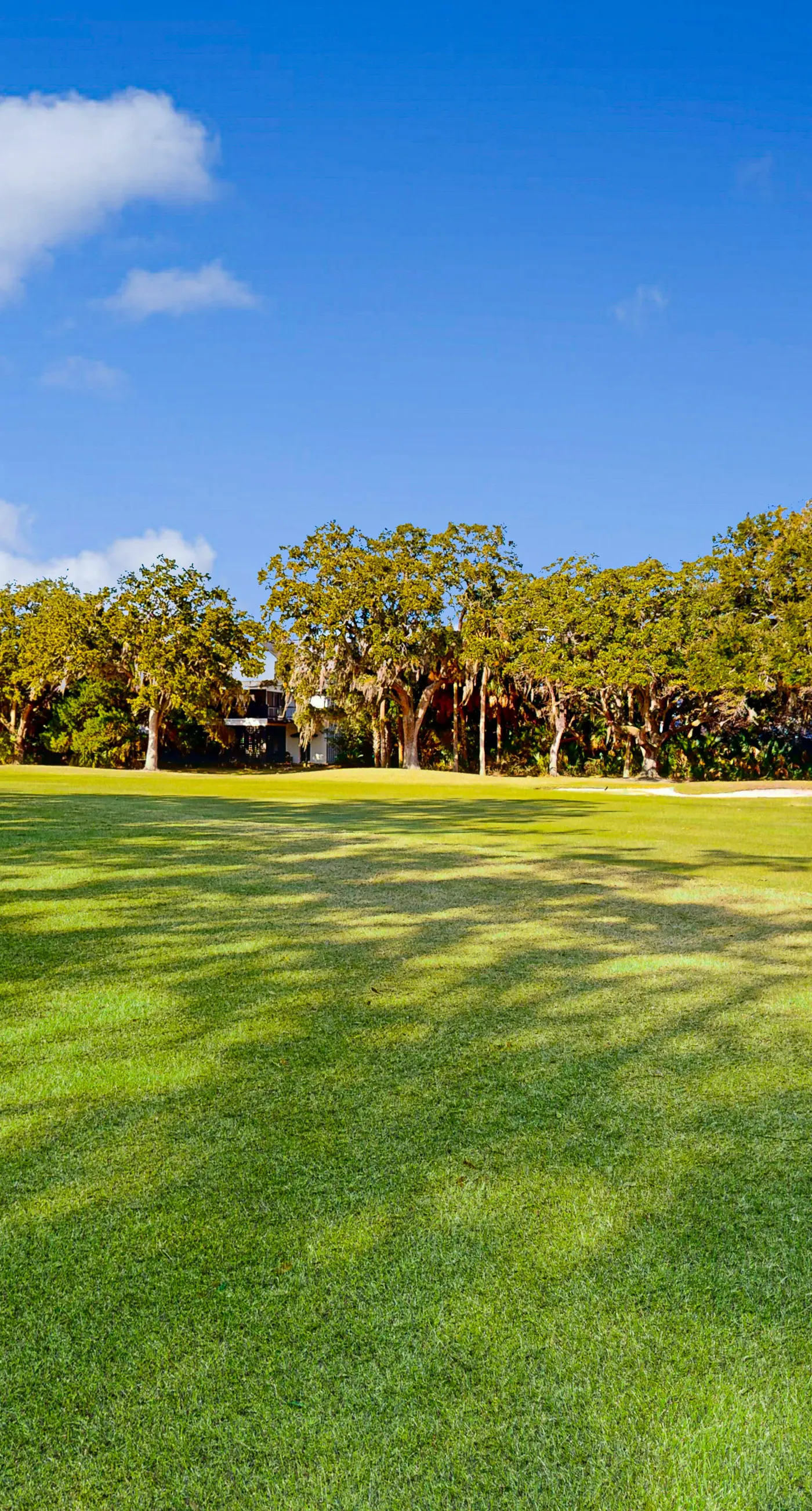 Driftwood Villa  267