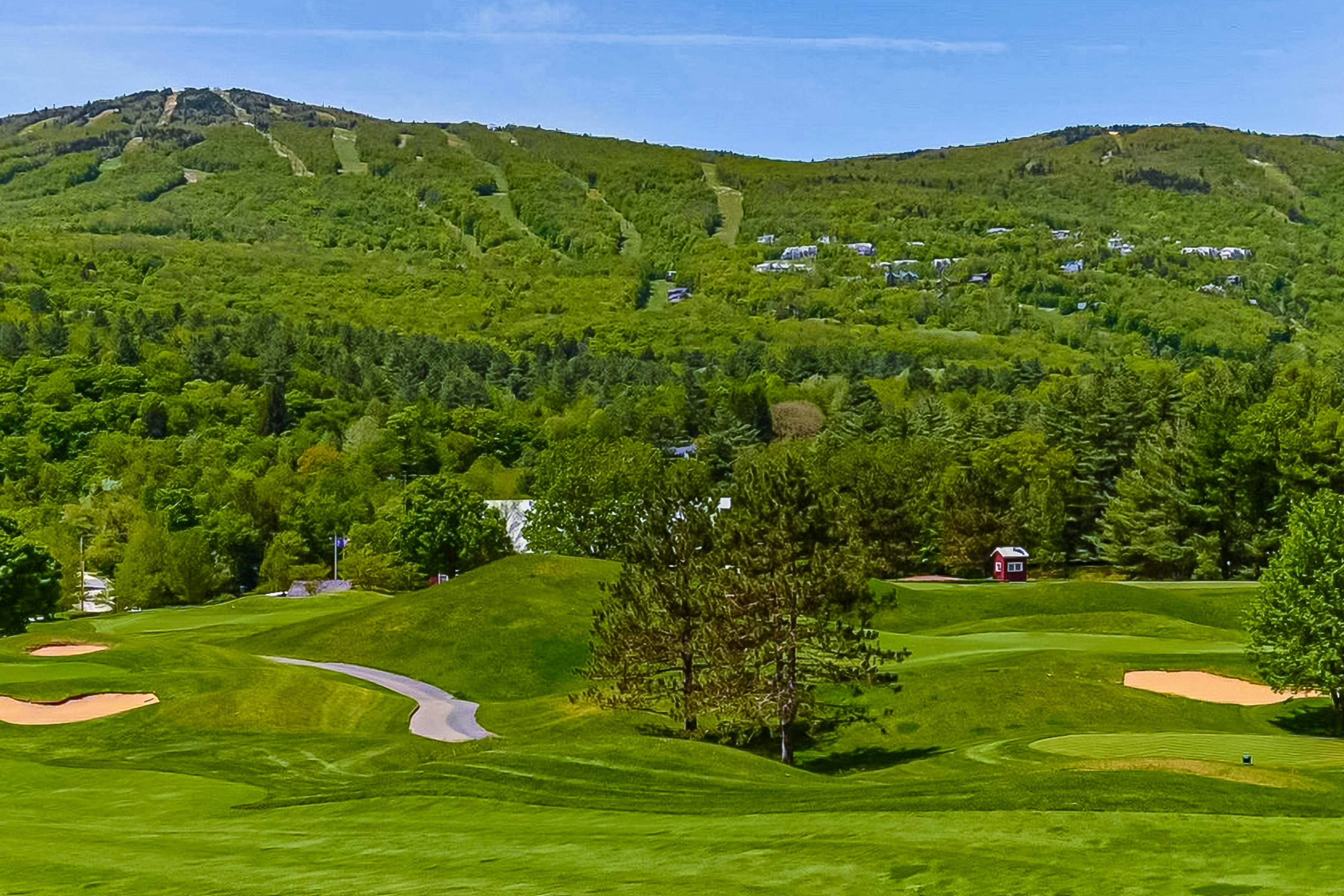 Cozy Mountain Base Retreat