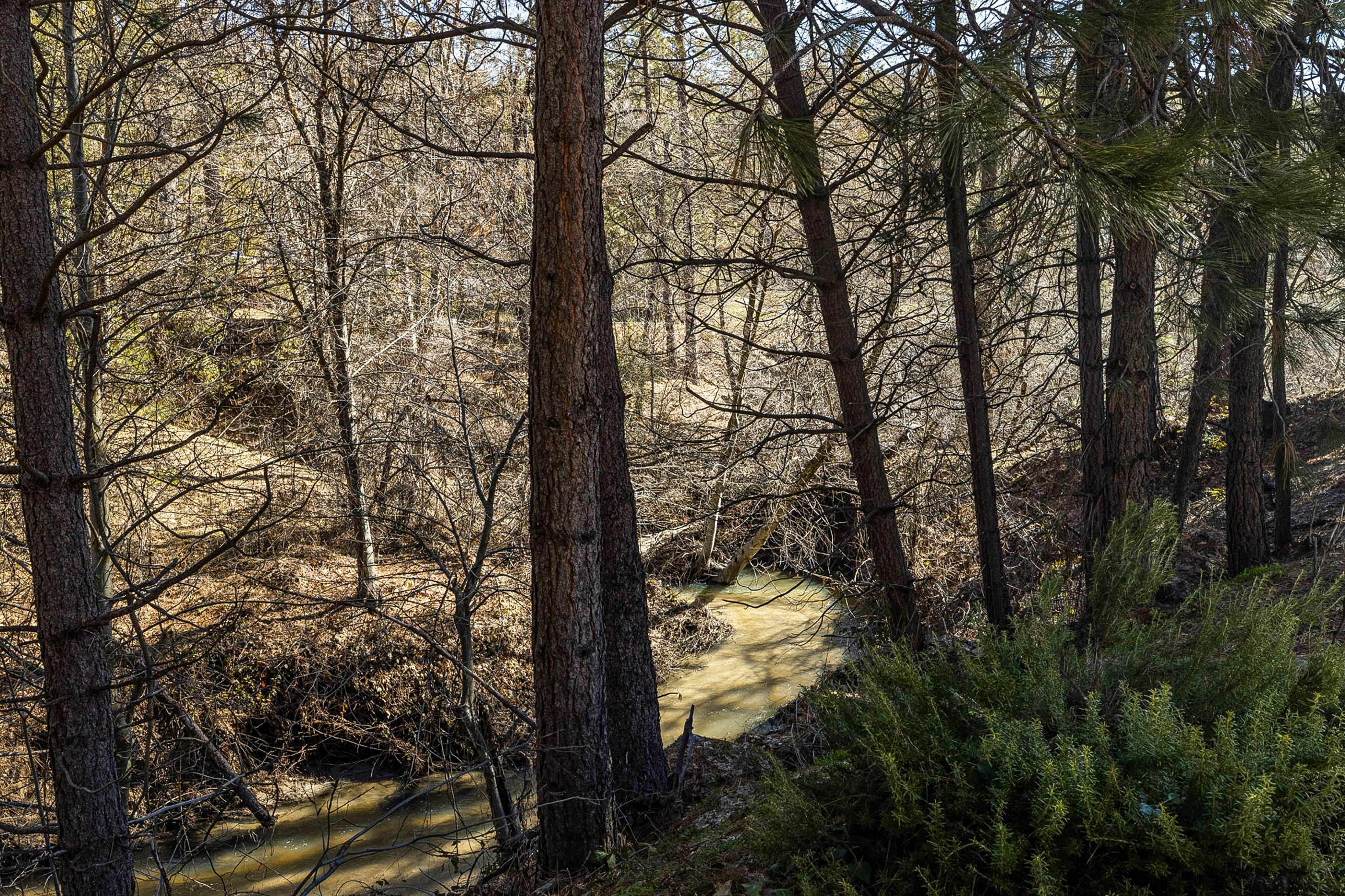 Yosemite Bass Lake Adventure Oasis