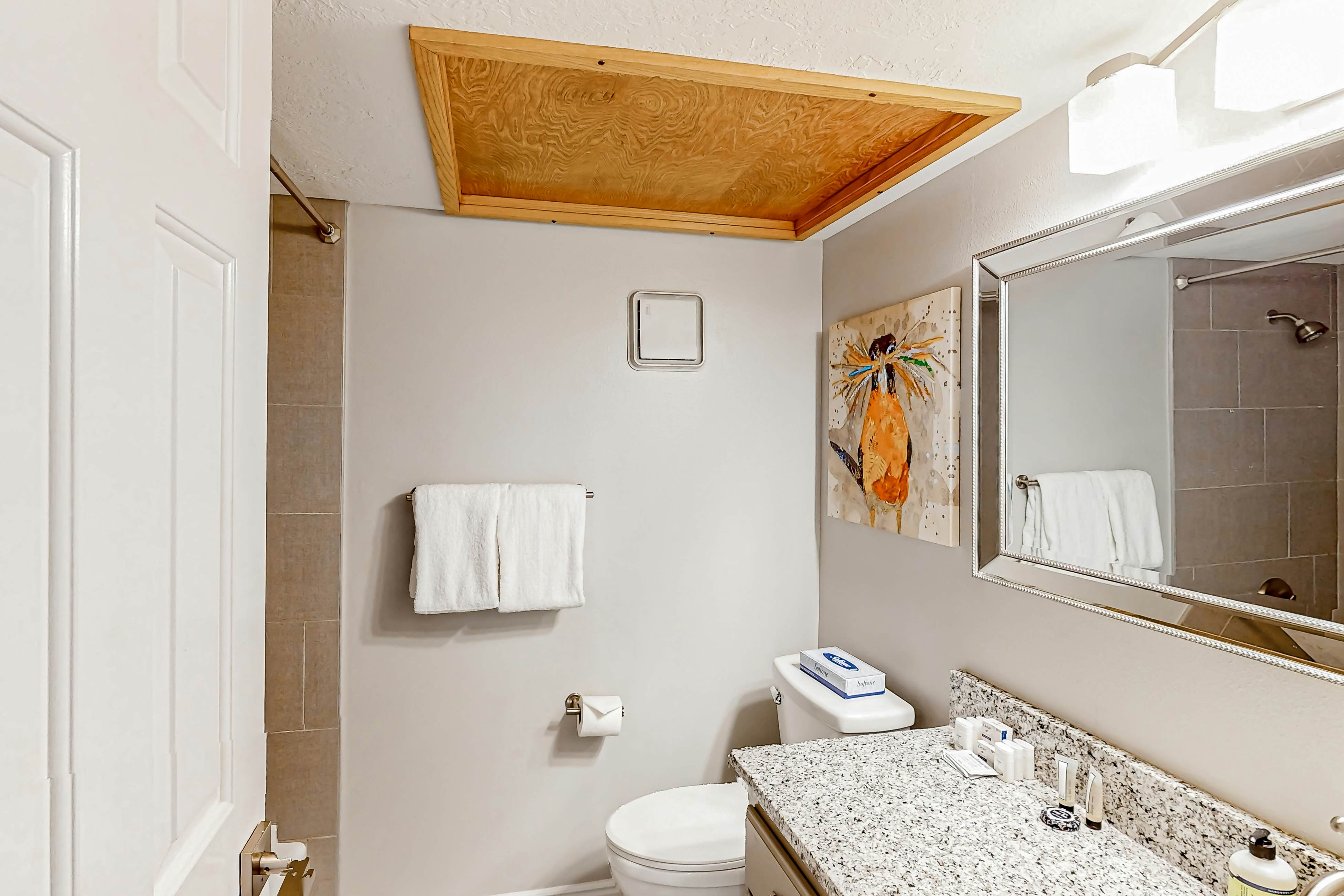 Mountain Views at the Village