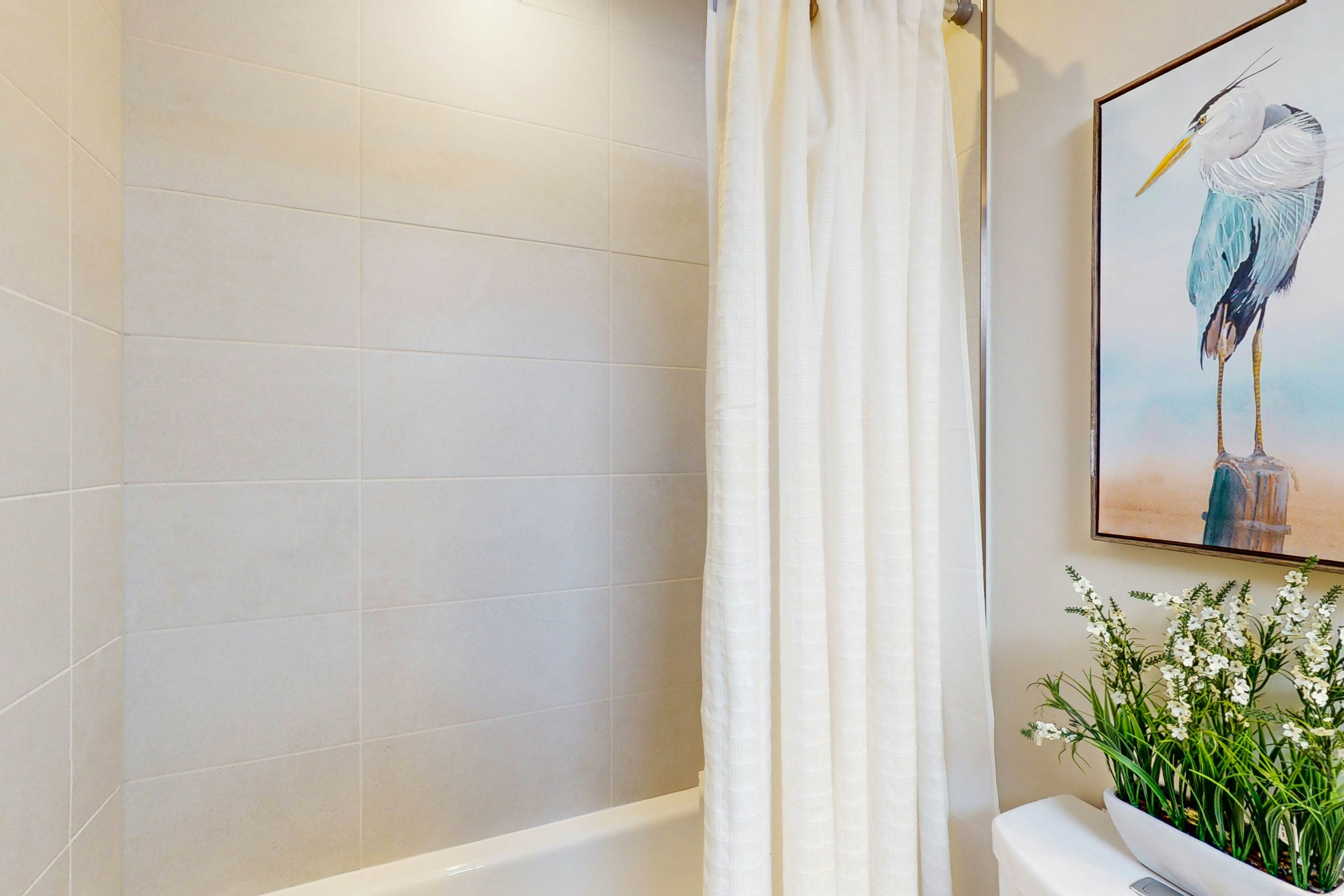 A Slice of Silverthorne