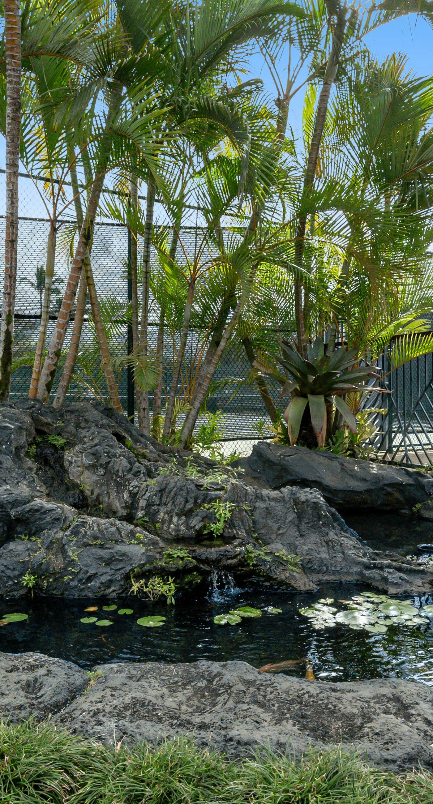 Sunrise Hale at the Cliffs