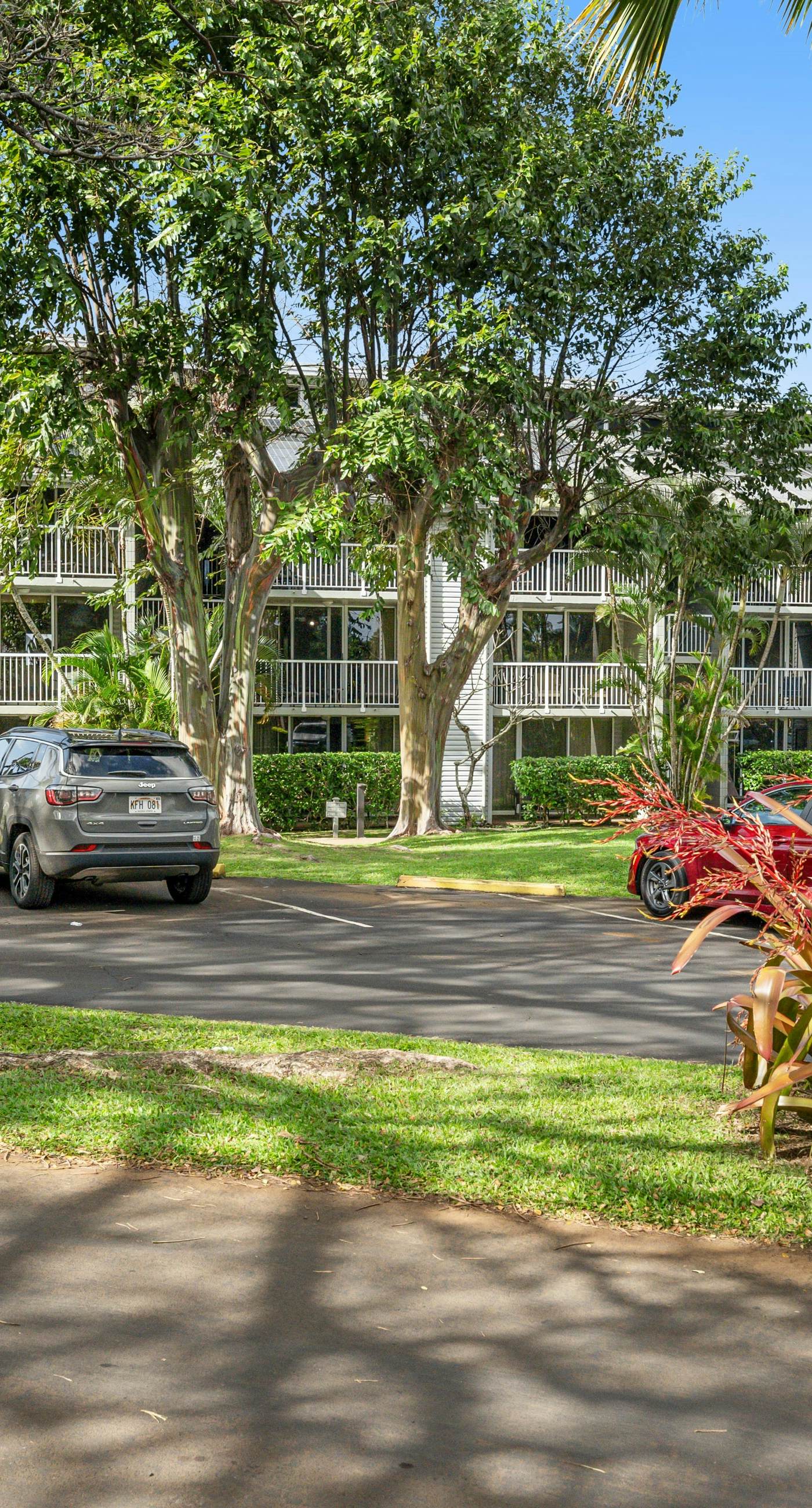 Sunrise Hale at the Cliffs