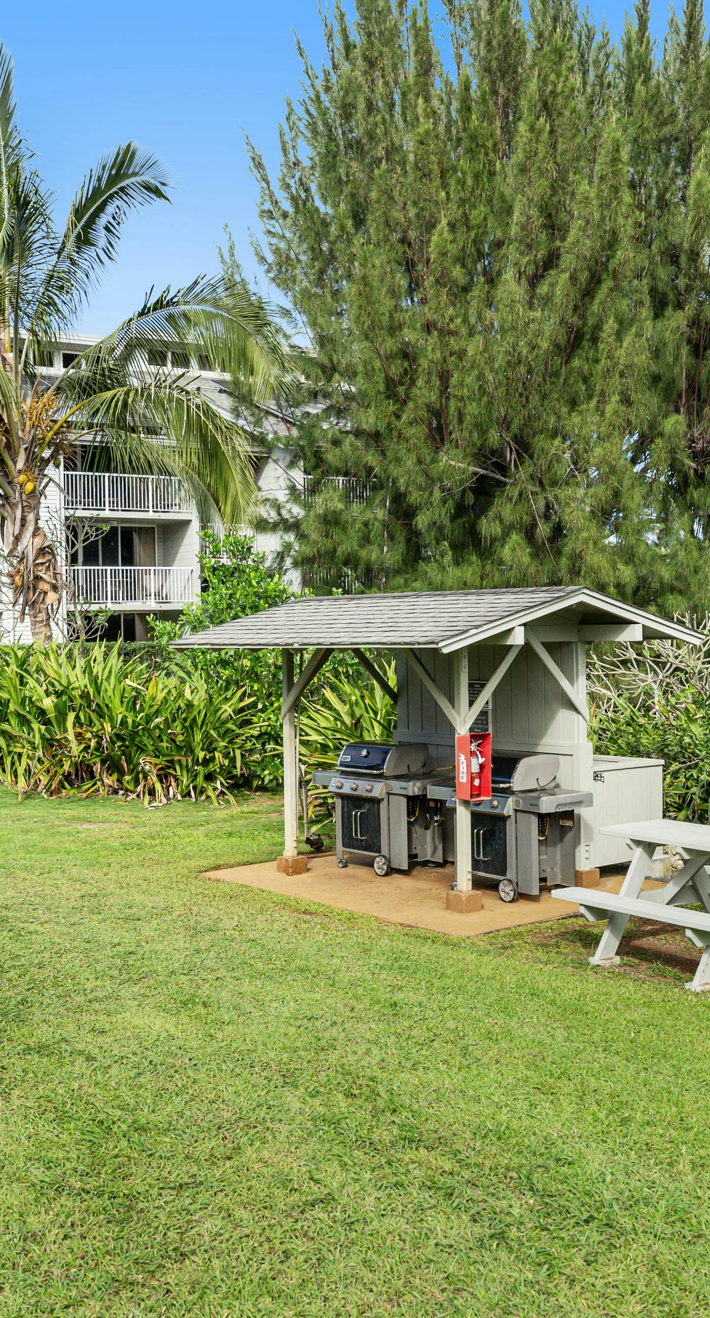 Sunrise Hale at the Cliffs